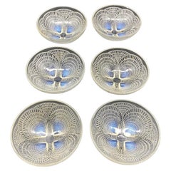 Vintage 6 Coquilles Glass Bowls by R.Lalique 