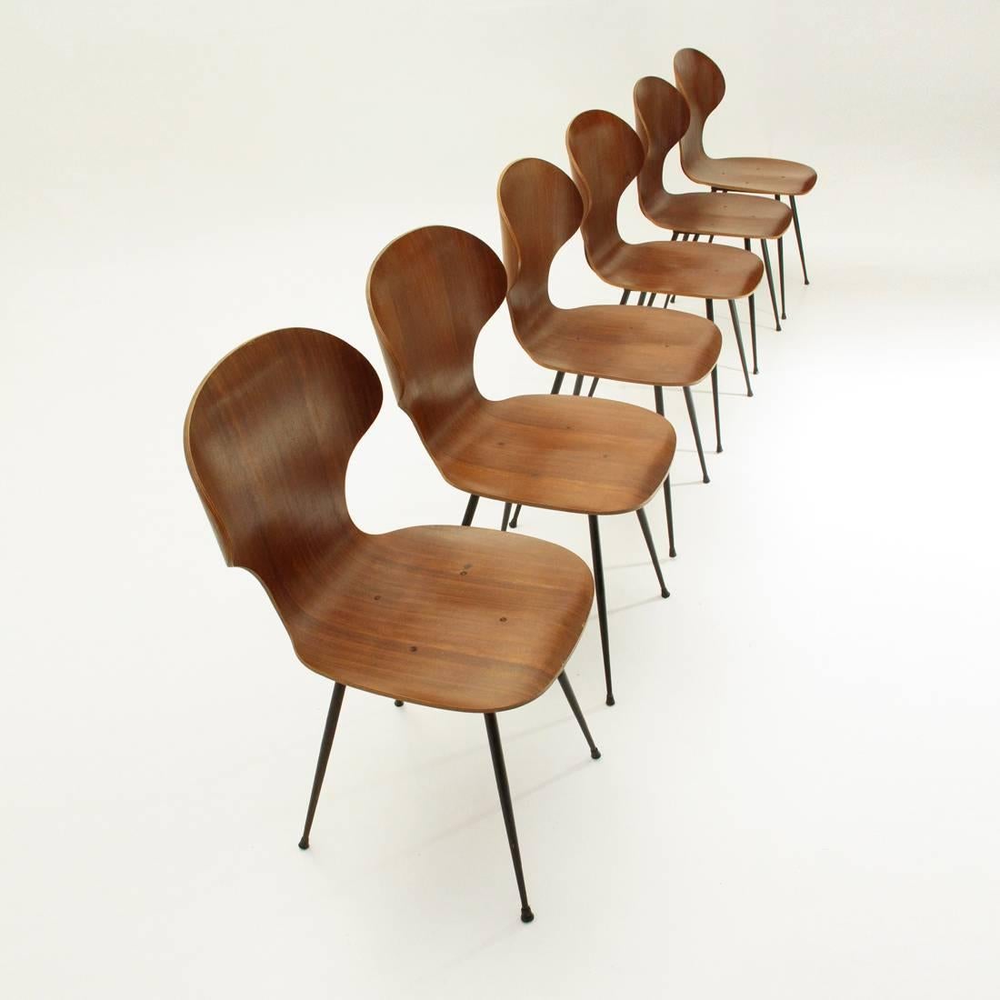 Mid-Century Modern Six Dining Chairs by Carlo Ratti for Industria Legni Curvati, 1950s