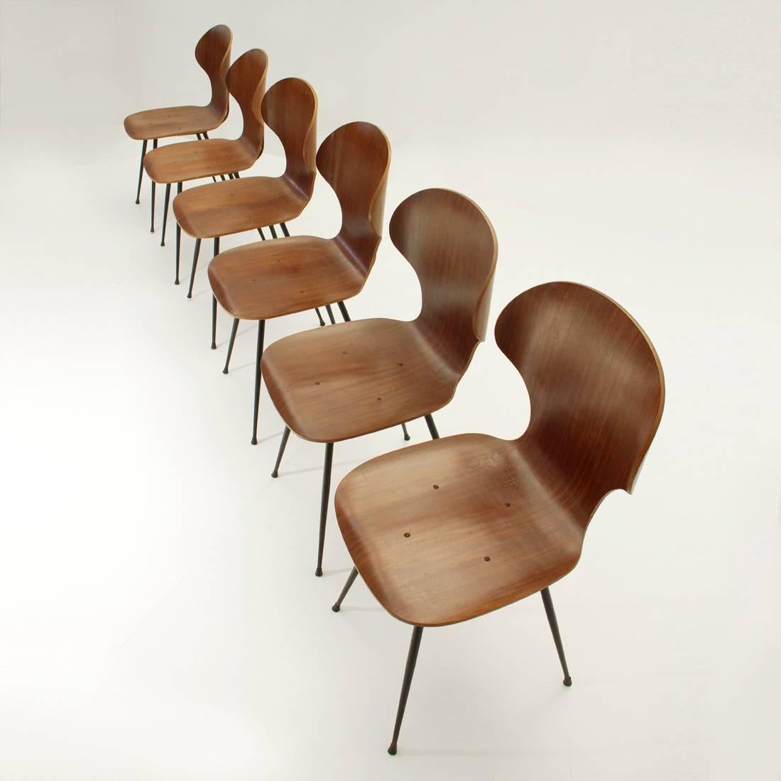 Italian Six Dining Chairs by Carlo Ratti for Industria Legni Curvati, 1950s