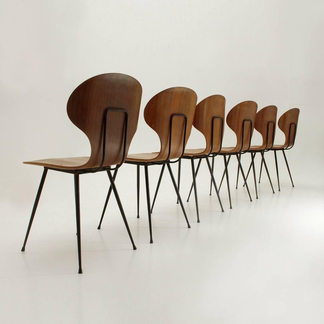 Six Dining Chairs by Carlo Ratti for Industria Legni Curvati, 1950s In Good Condition In Savona, IT