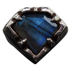 6 Directions (Labradorite, Sterling Silver Ring) by Ken Fury