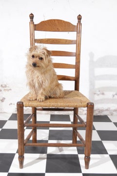 6 Dutch Ladder Back Oak Rush Seat Dining Chairs