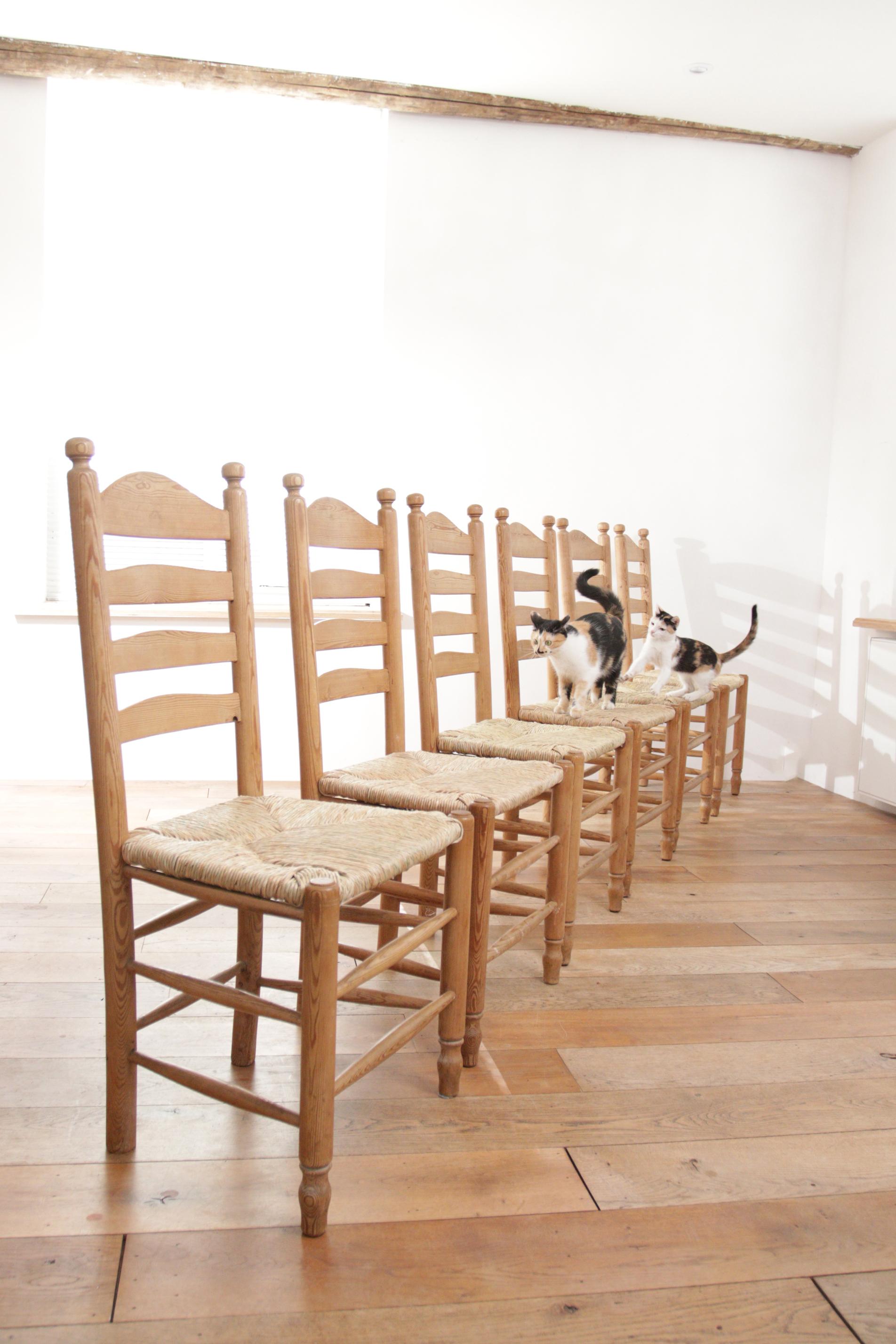6 Beautiful ladderback chairs from the 60s made of pine with new wicker woven seats.
Fit perfectly with the style of designers such as Charlotte Perriand and Charles Dudouyt.
They are comfortable and have a very nice warm appearance due to the use