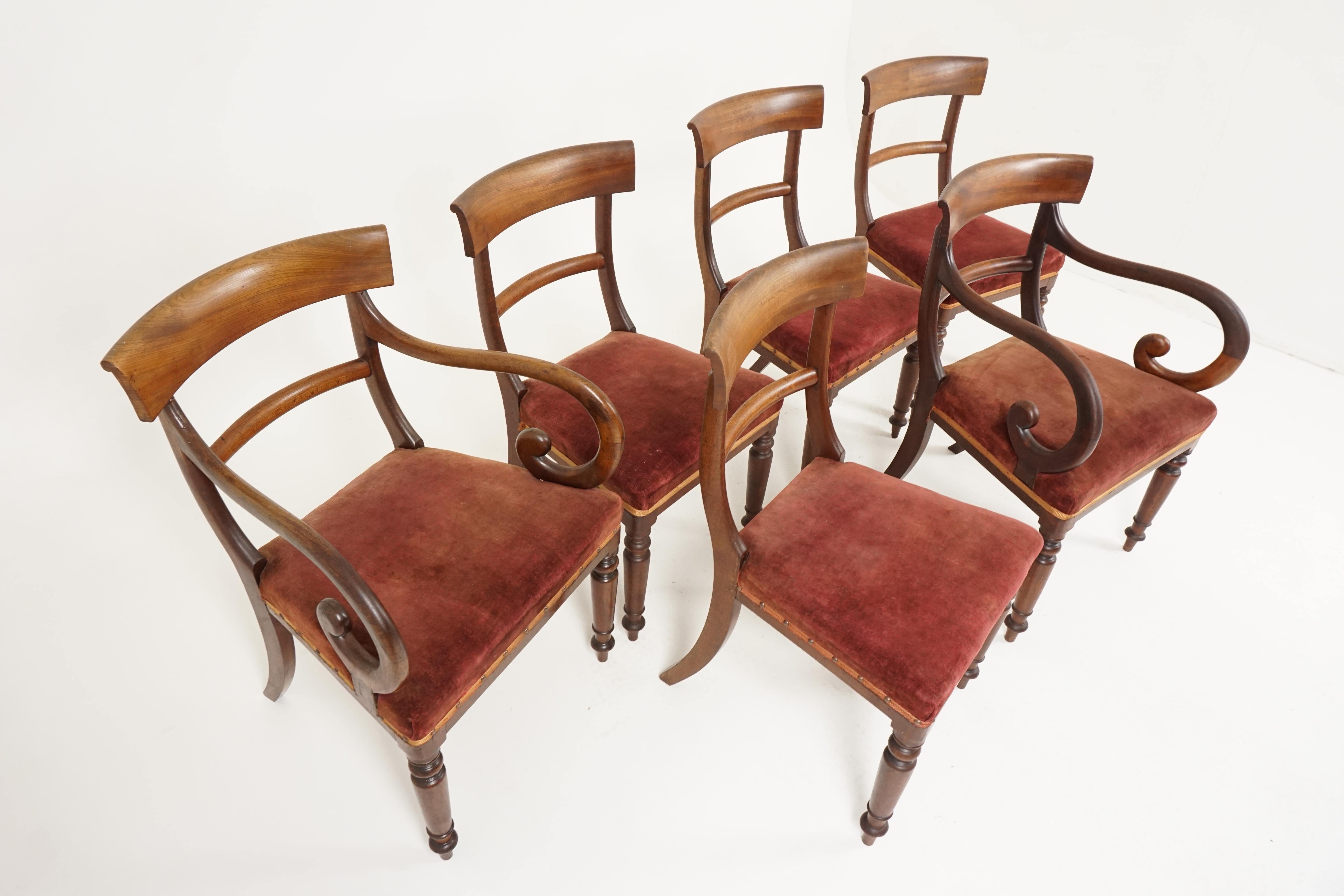 Scottish 6 Early Victorian Walnut Dining Chairs '4+2', Scotland 1840, B2374