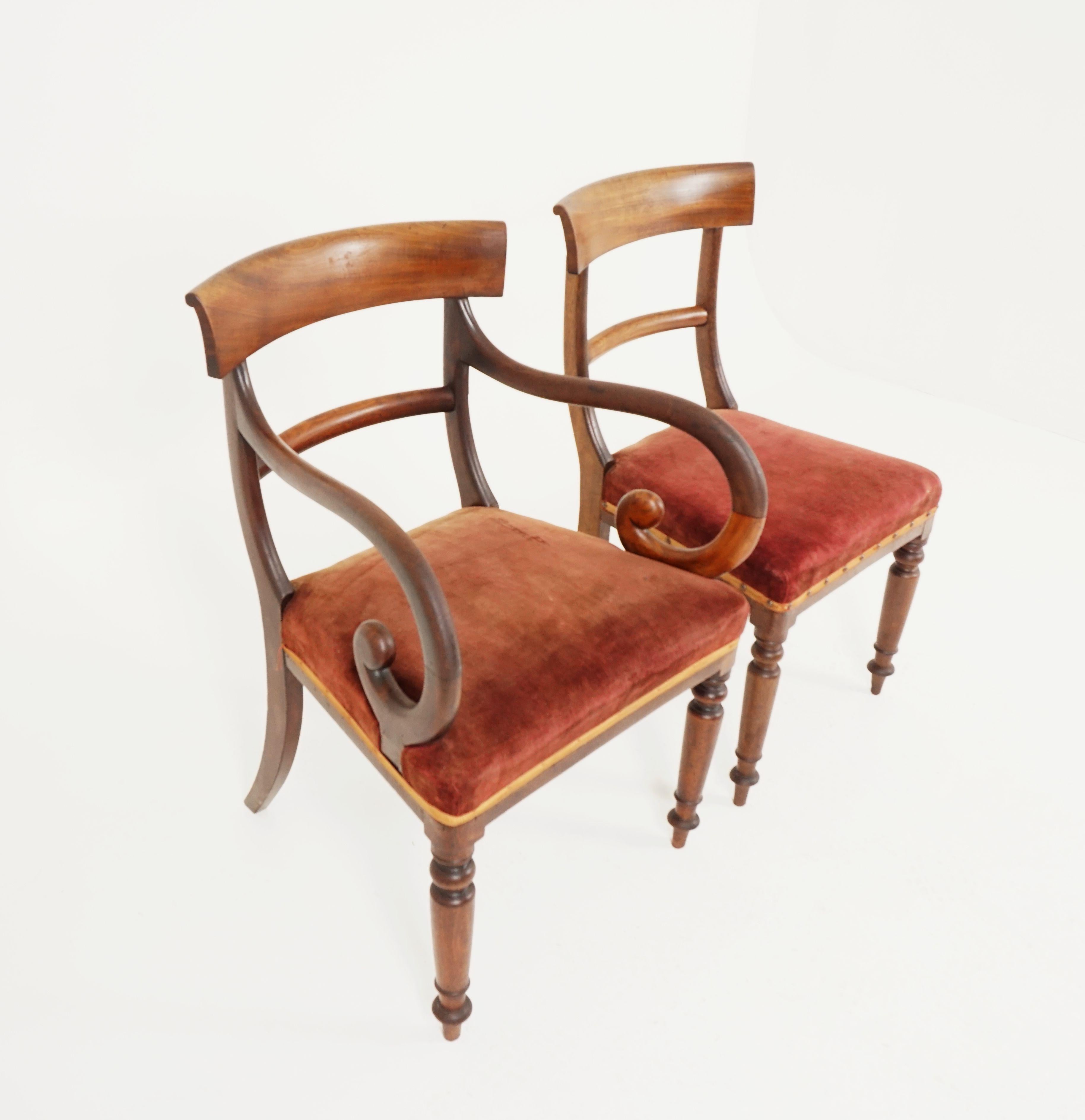 6 Early Victorian Walnut Dining Chairs '4+2', Scotland 1840, B2374 In Good Condition In Vancouver, BC