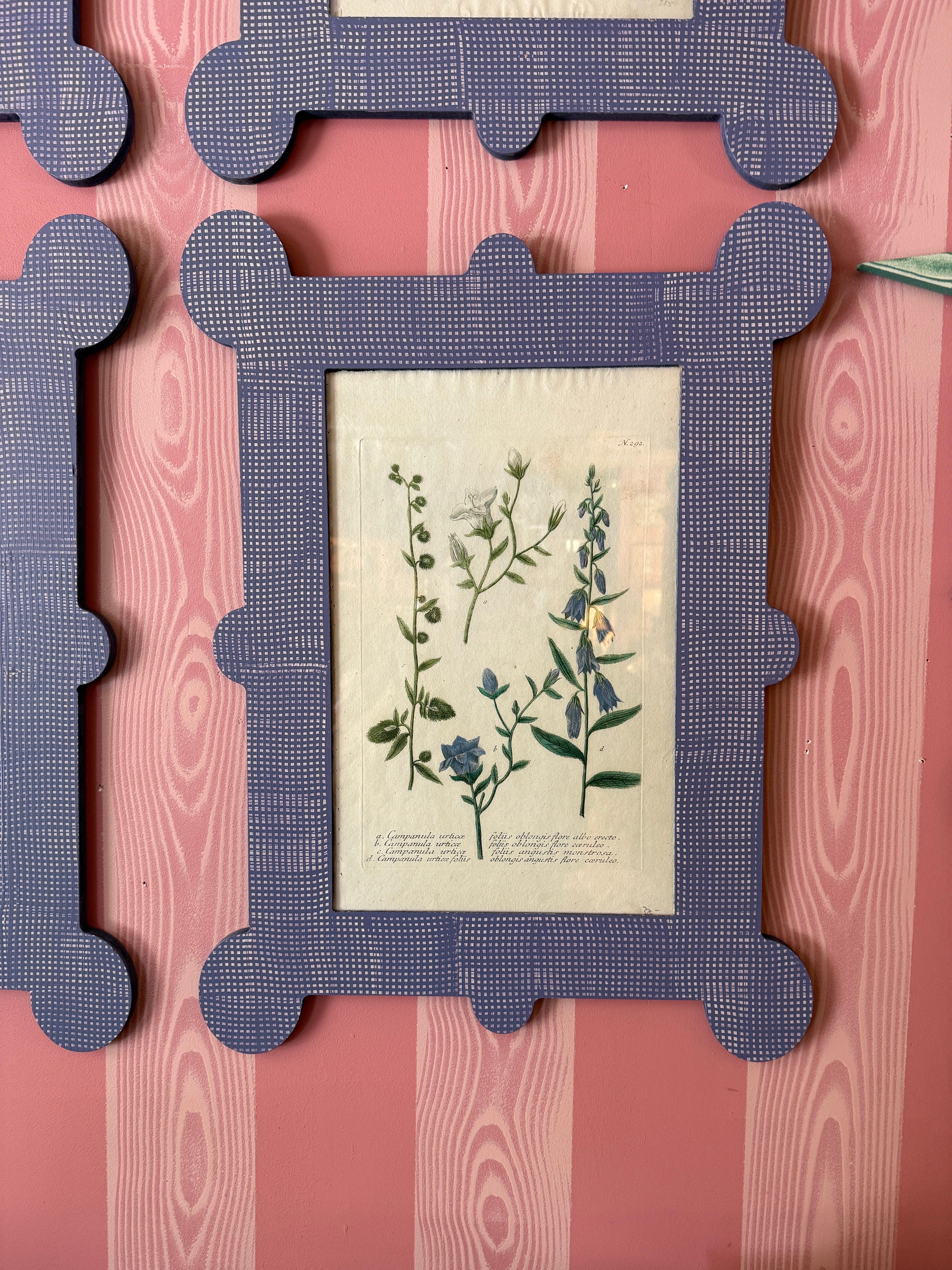 Paint 6 Johann Wilhelm Weinmann botanicals (1740-60) in hand painted lavender frames For Sale