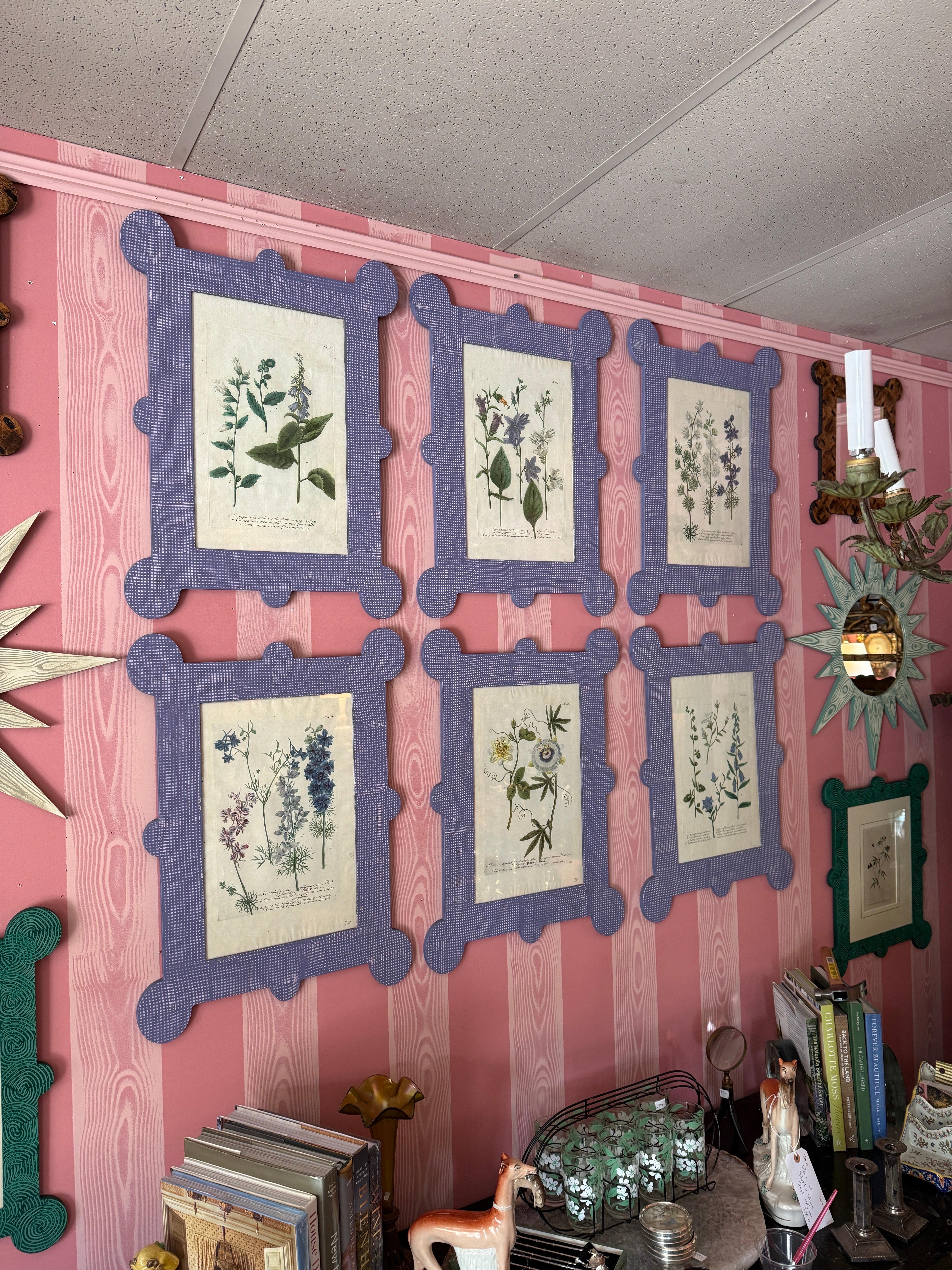 6 Johann Wilhelm Weinmann botanicals (1740-60) in hand painted lavender frames For Sale 3