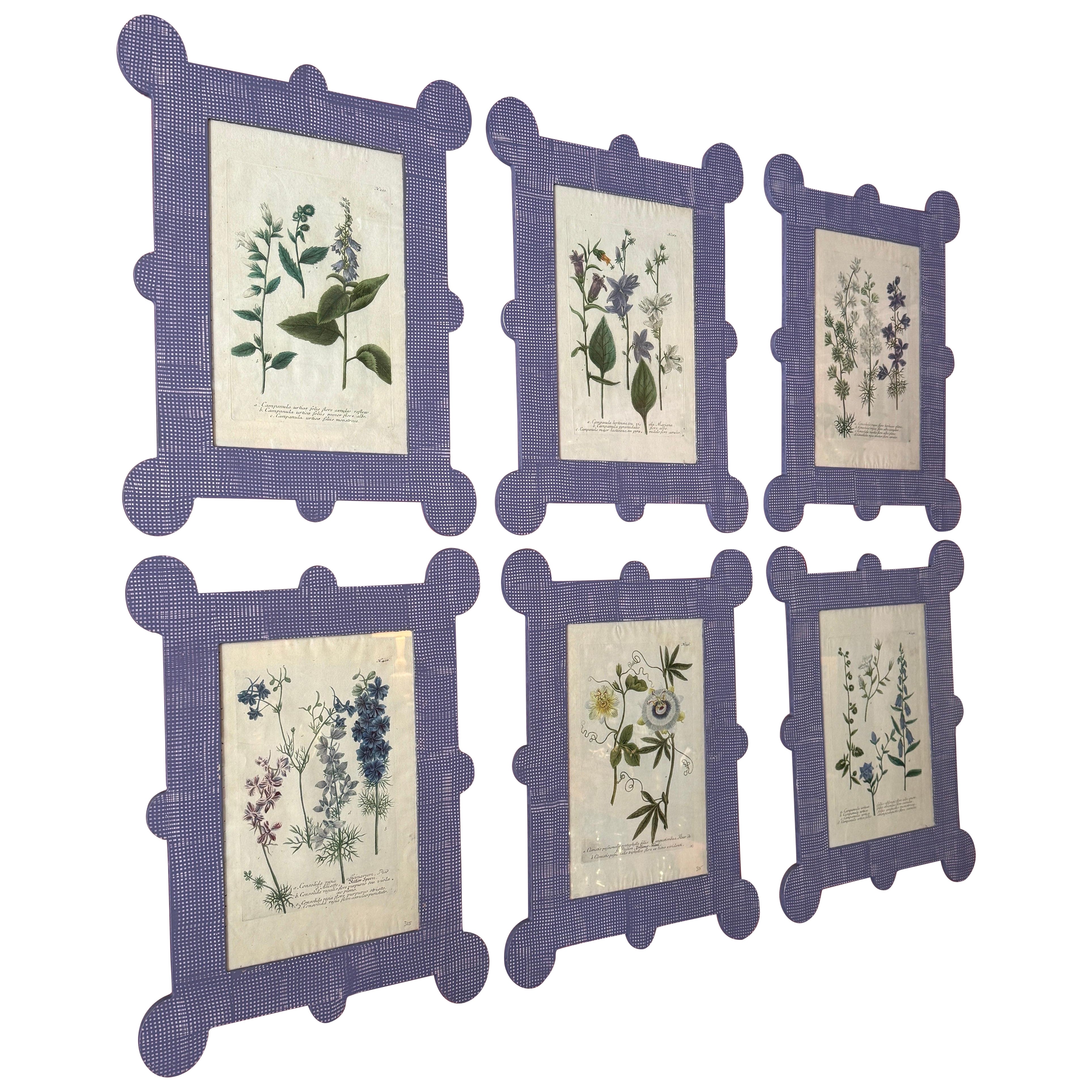 Special set of 6 botanicals by Johann Wilhelm Weinmann (ca 1740-1750) displayed in custom matching hand painted lavender burlap finish frames by The Fabulous Things. Sold individually 