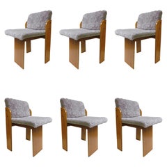 6 Leather and Wood Midcentury Chairs by Sergio Asti, Italy, 1950