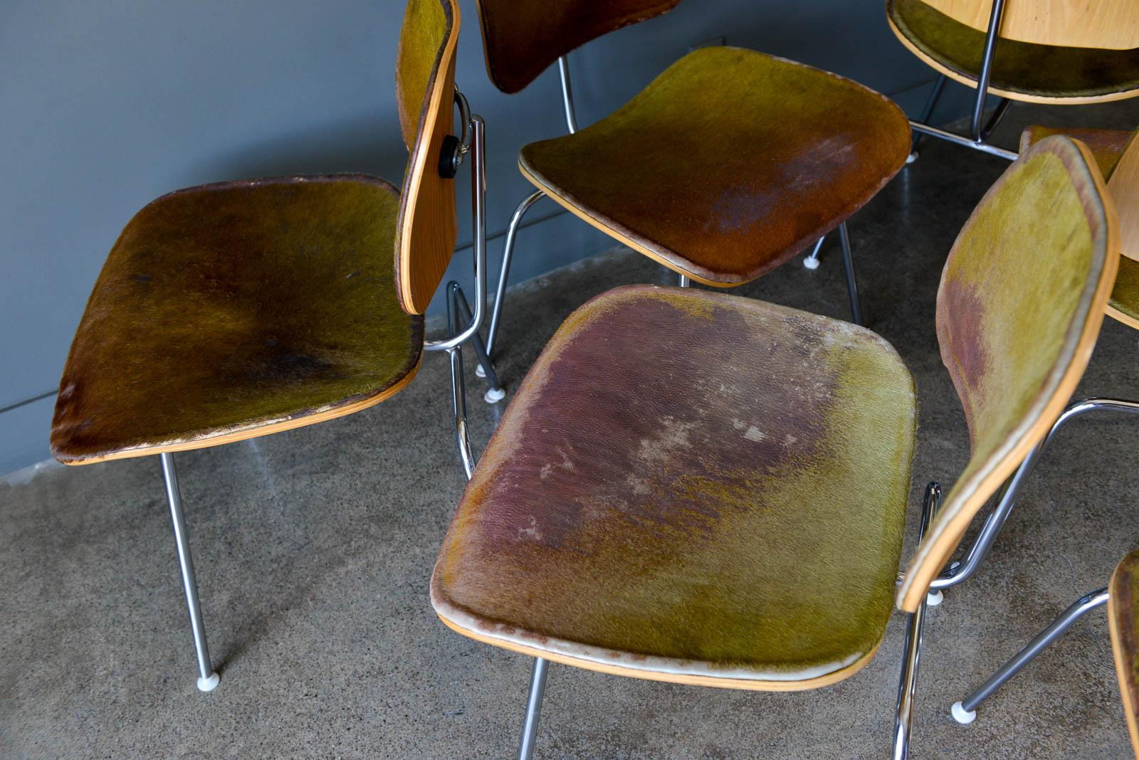 Américain 6 éditions limitées Charles Eames pour Herman Miller DCM en peau de mouton tricolore