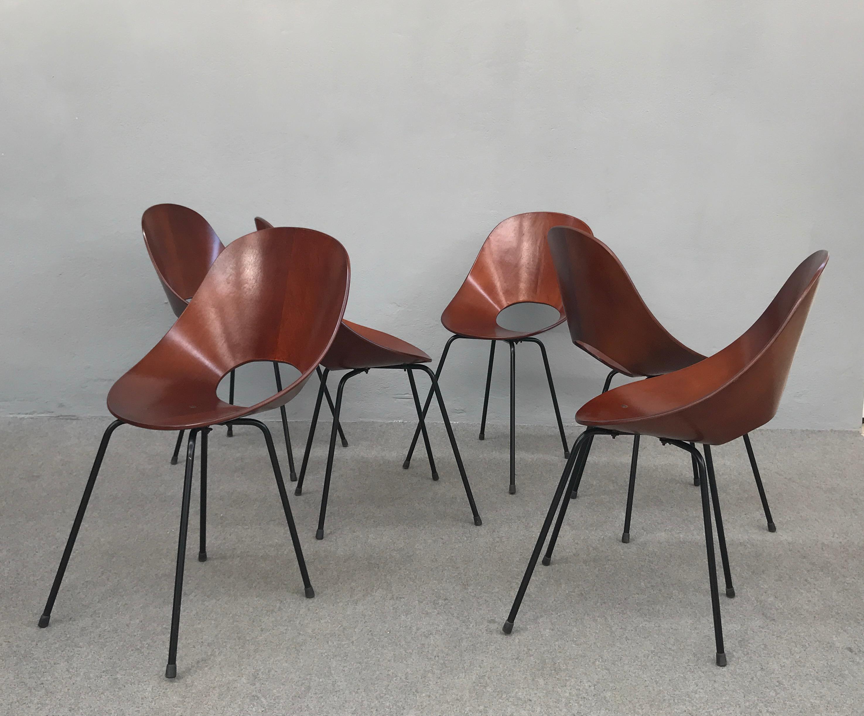 Mid-Century Modern 6 Medea Chairs by Vittorio Nobili