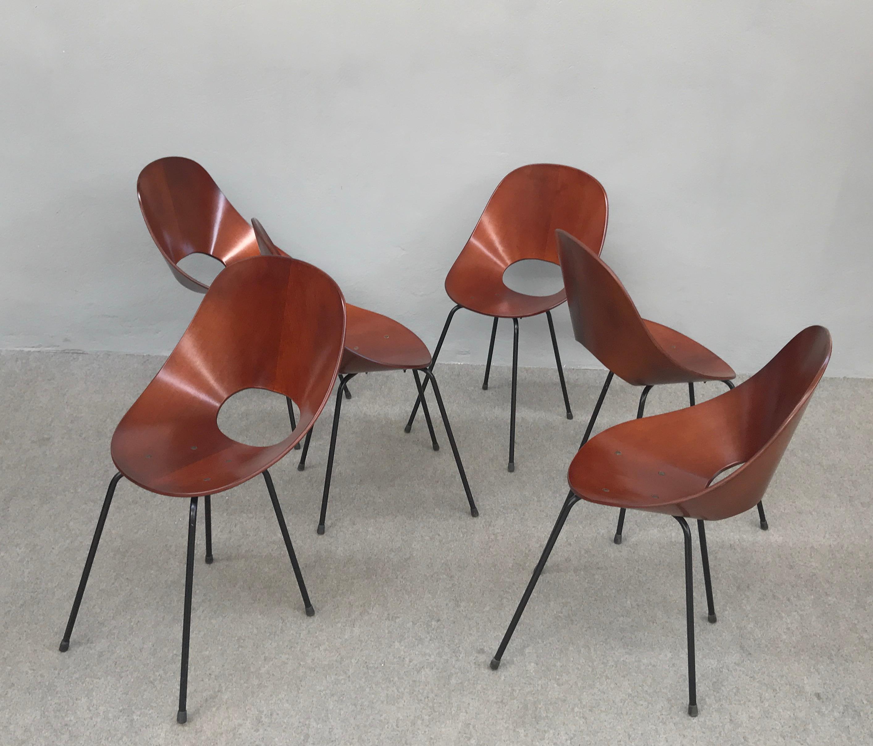 Italian 6 Medea Chairs by Vittorio Nobili