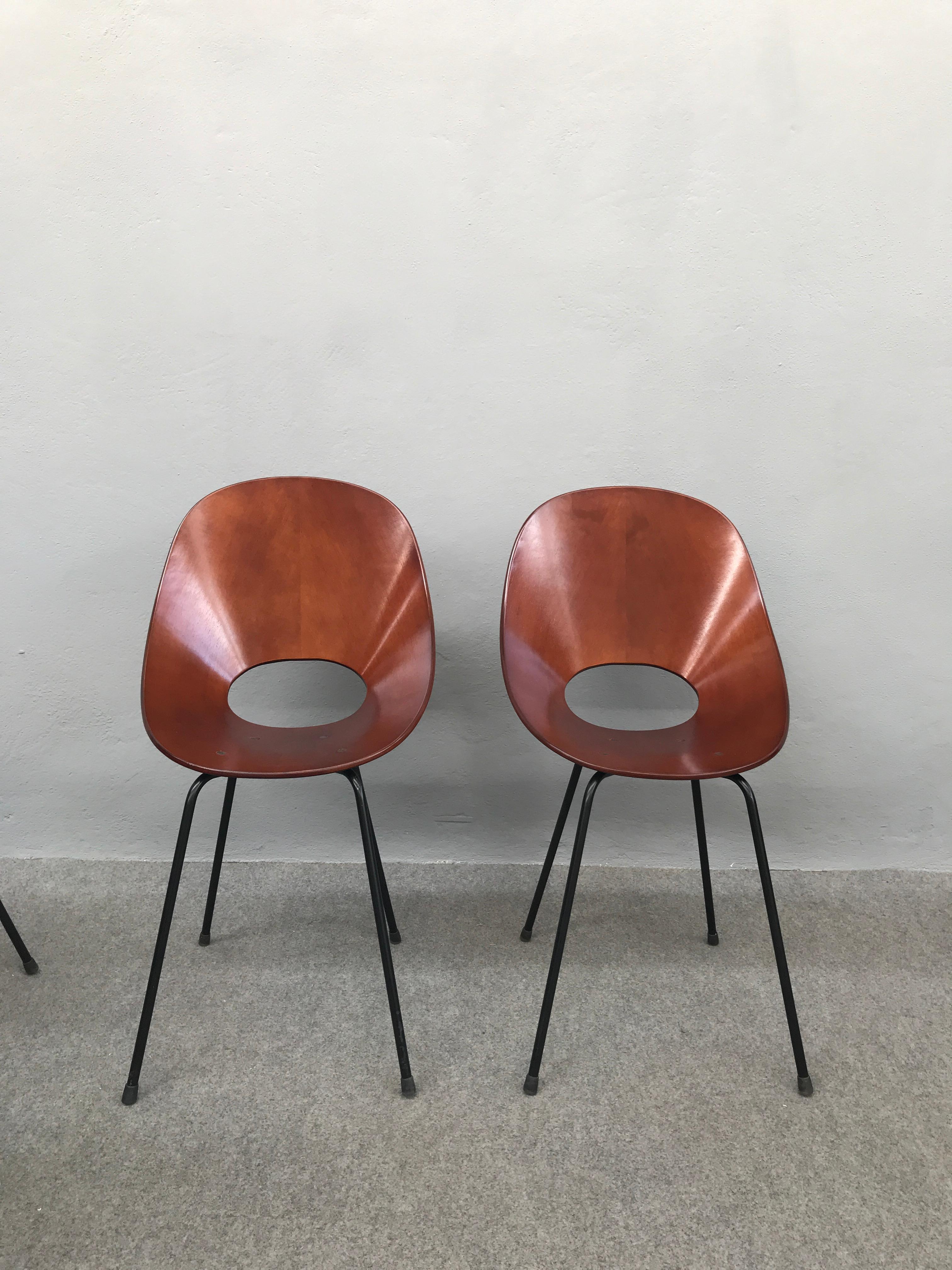 6 Medea Chairs by Vittorio Nobili In Excellent Condition In Piacenza, Italy
