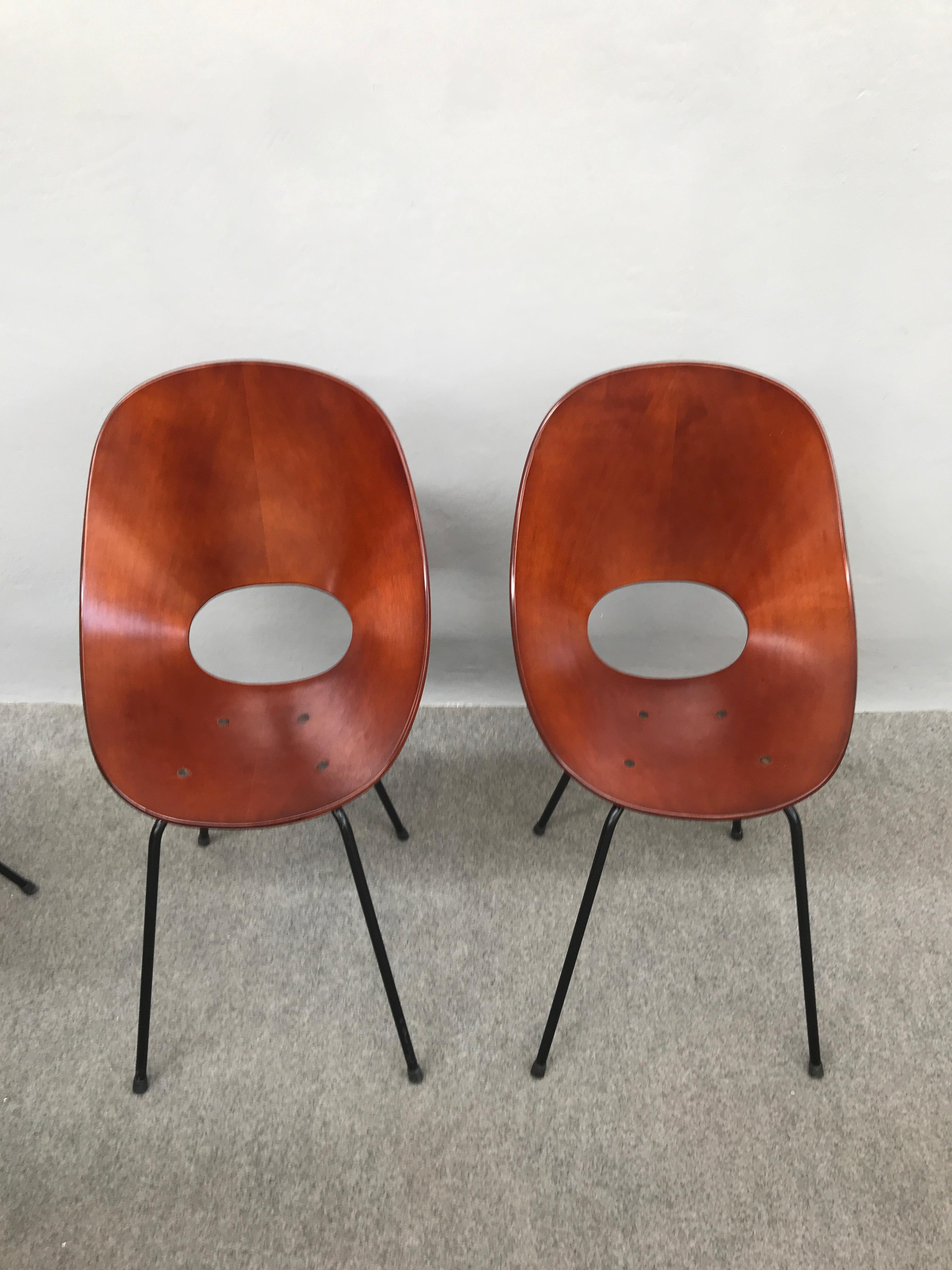 Mid-20th Century 6 Medea Chairs by Vittorio Nobili