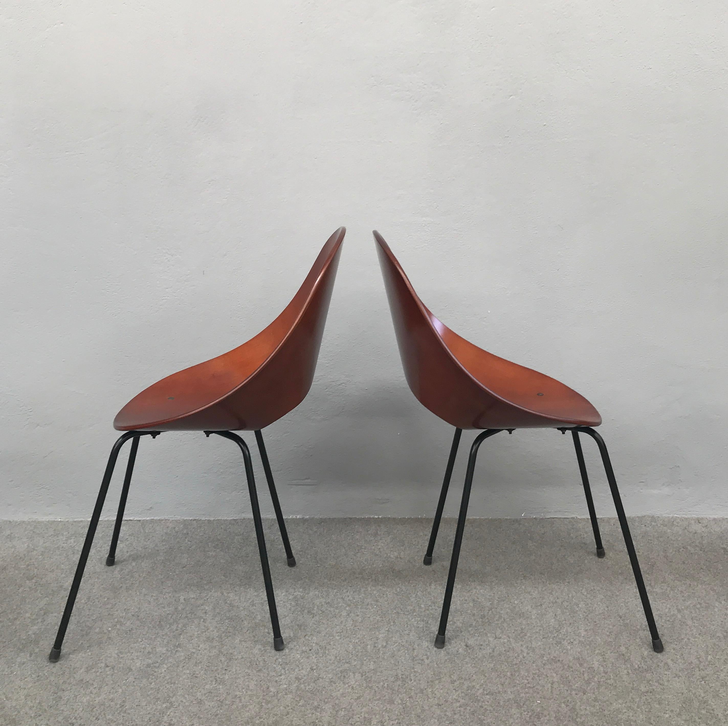 6 Medea Chairs by Vittorio Nobili 1