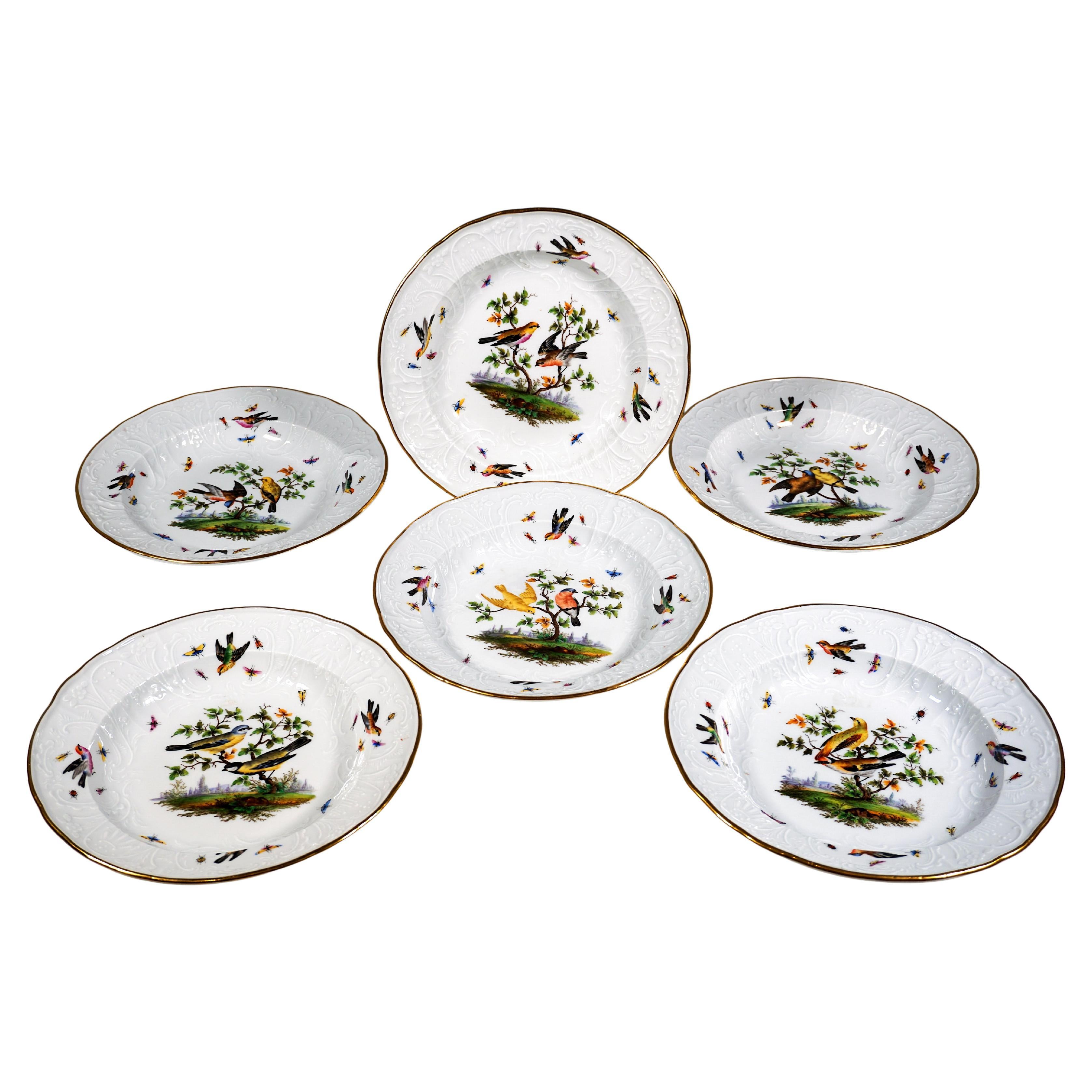 6 Meissen Splendour Plates, Dulong Relief With Finest Bird Painting C. 1850