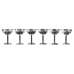 6 Piezas Juego de Copas de Champán de Cristal Baccarat "Moliere" de 1916-1936