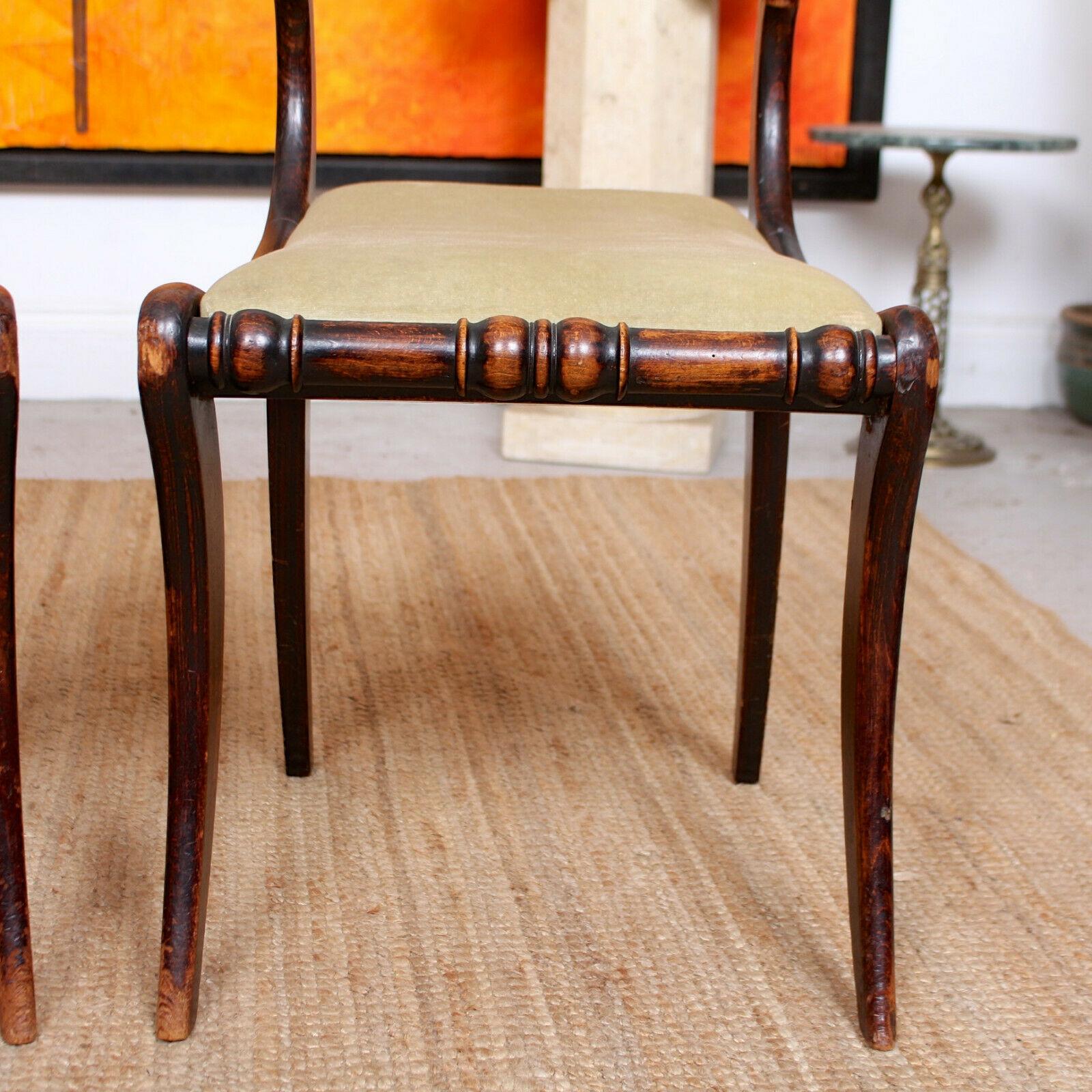 6 Regency Dining Chairs Harlequin Painted Rosewood Carved For Sale 1
