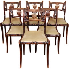 Antique 6 Regency Dining Chairs Harlequin Painted Rosewood Carved