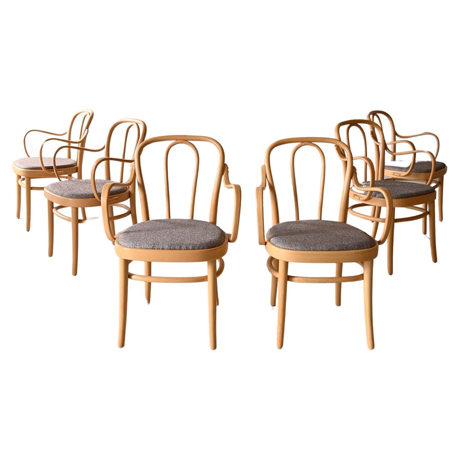 6 sedie dell'azienda Gemla modello "Wien" For Sale
