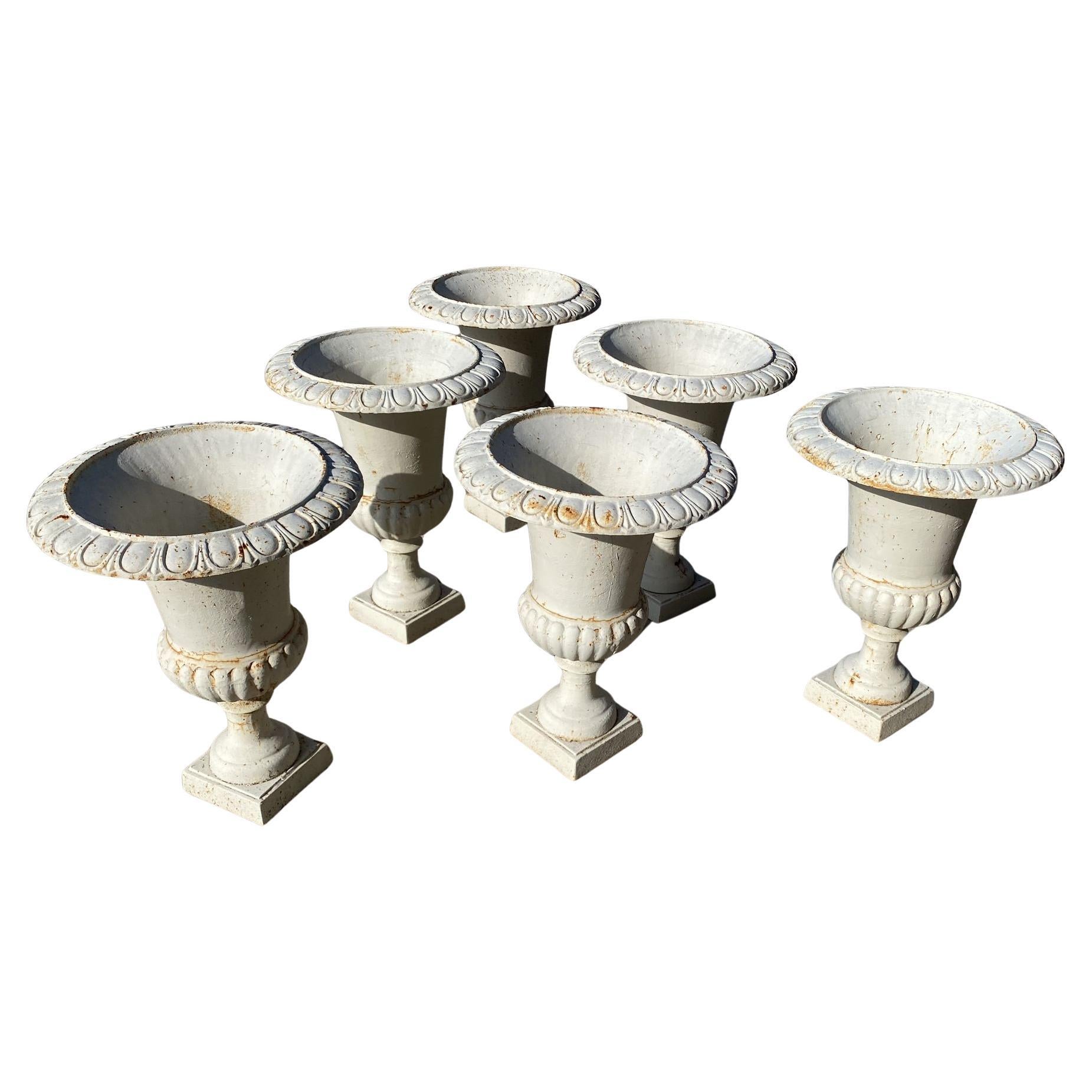 (6) Sechs MEDIZINISCHE FÄSSER AUS GUSSEISEN 1850/1900 H: 60cm im Angebot