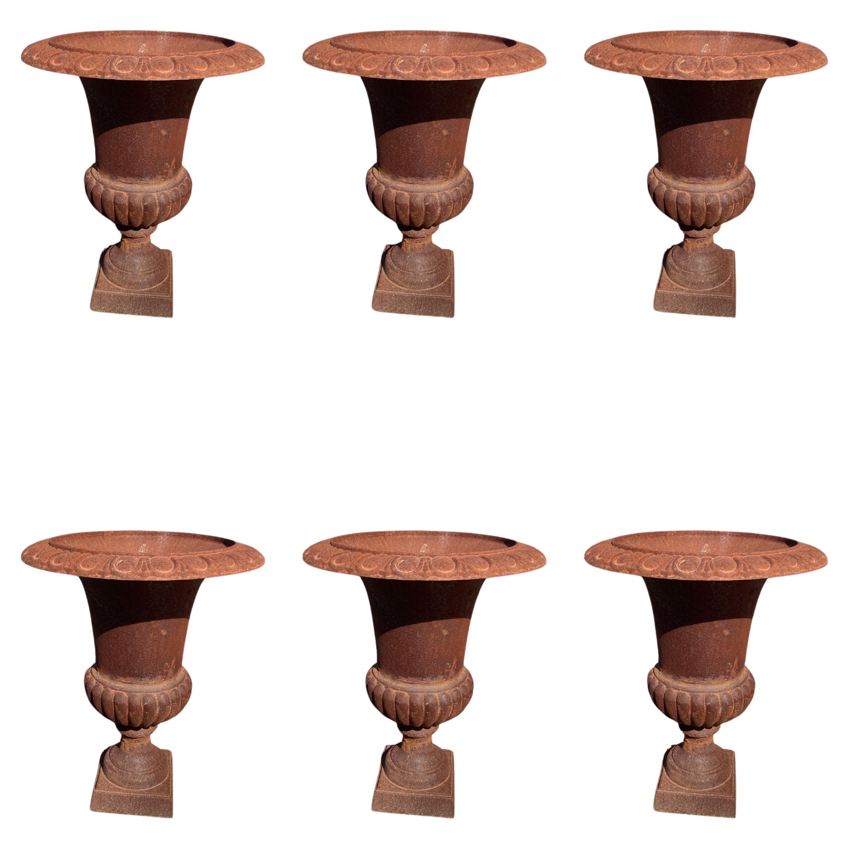 (6) Sechs MEDIZINISCHE FÄSSER AUS GUSSEISEN 1850/1900 H: 60cm