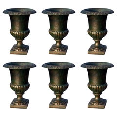 (6) Six VASES Medici en CAST IRON 20ème siècle