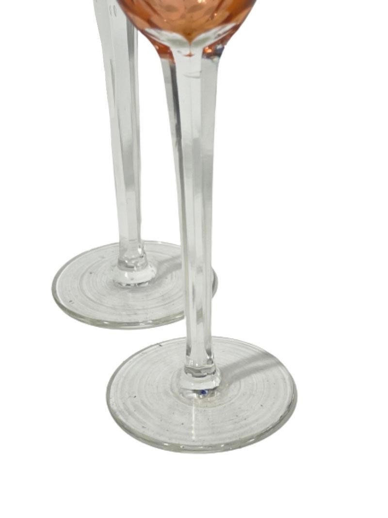 small liqueur glasses