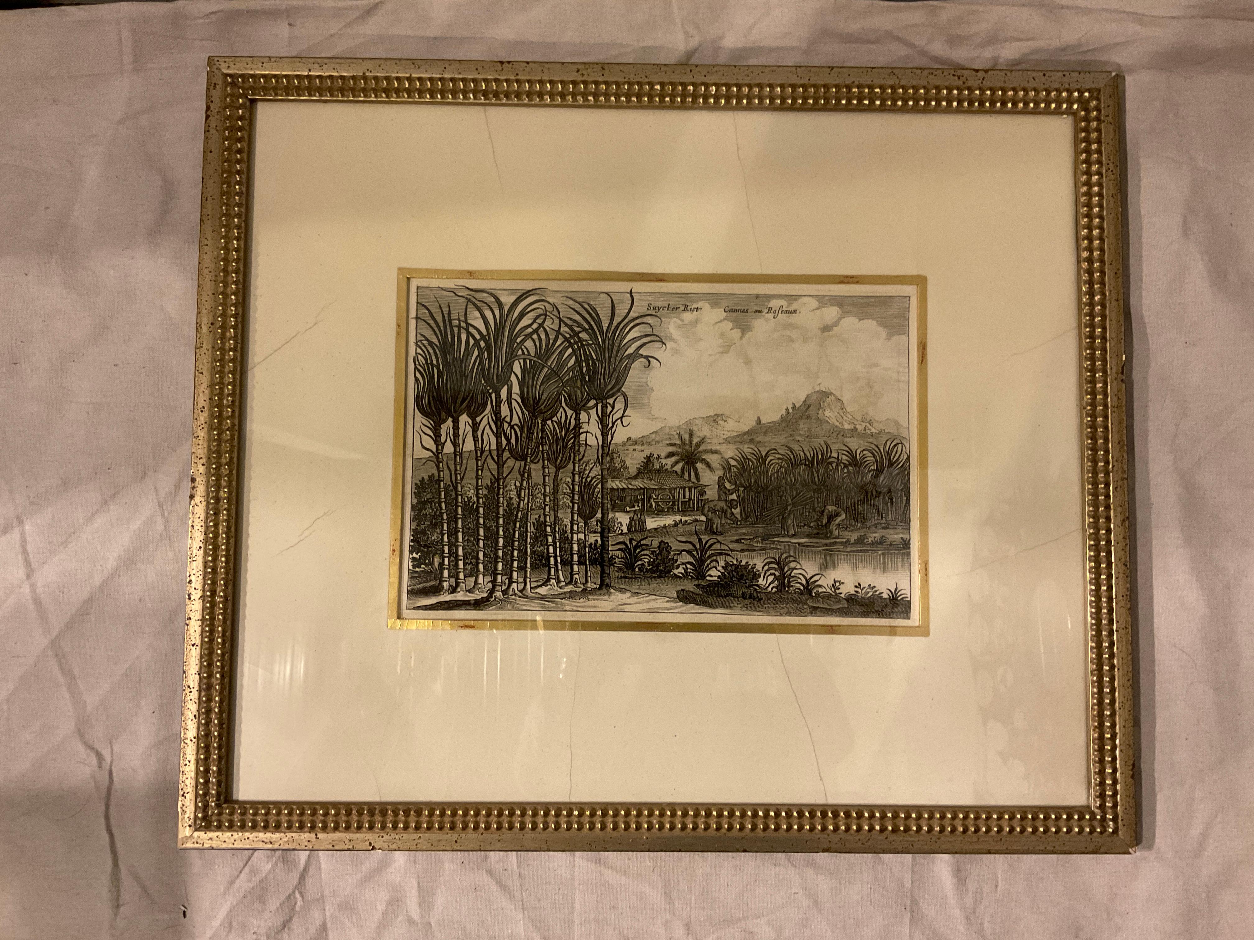 6 Soicher- Marin Tropical Landscape From Asia Prints In Silver Leaf Frames For Sale 6