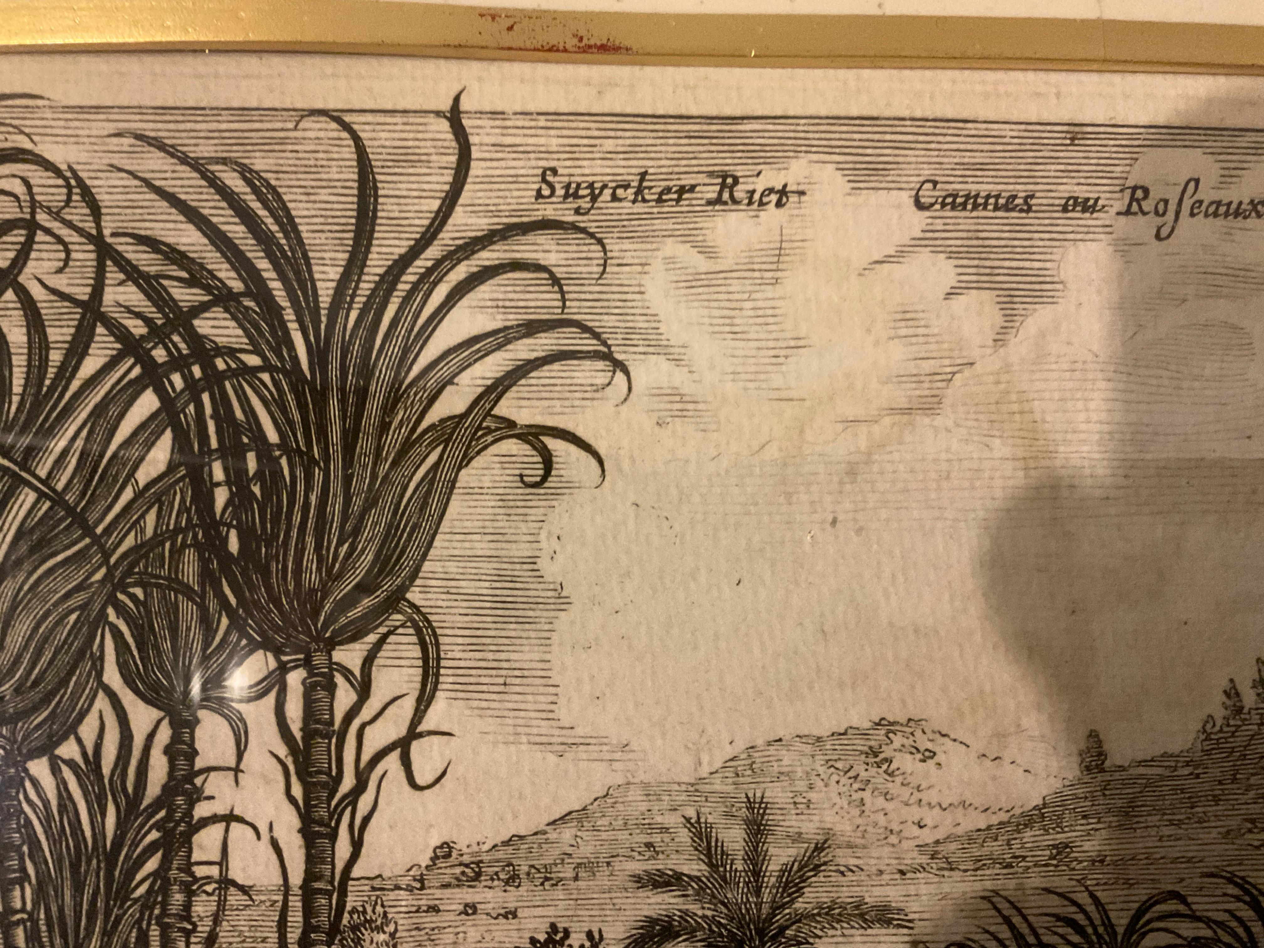 6 Soicher- Marin Tropical Landscape From Asia Prints In Silver Leaf Frames For Sale 8