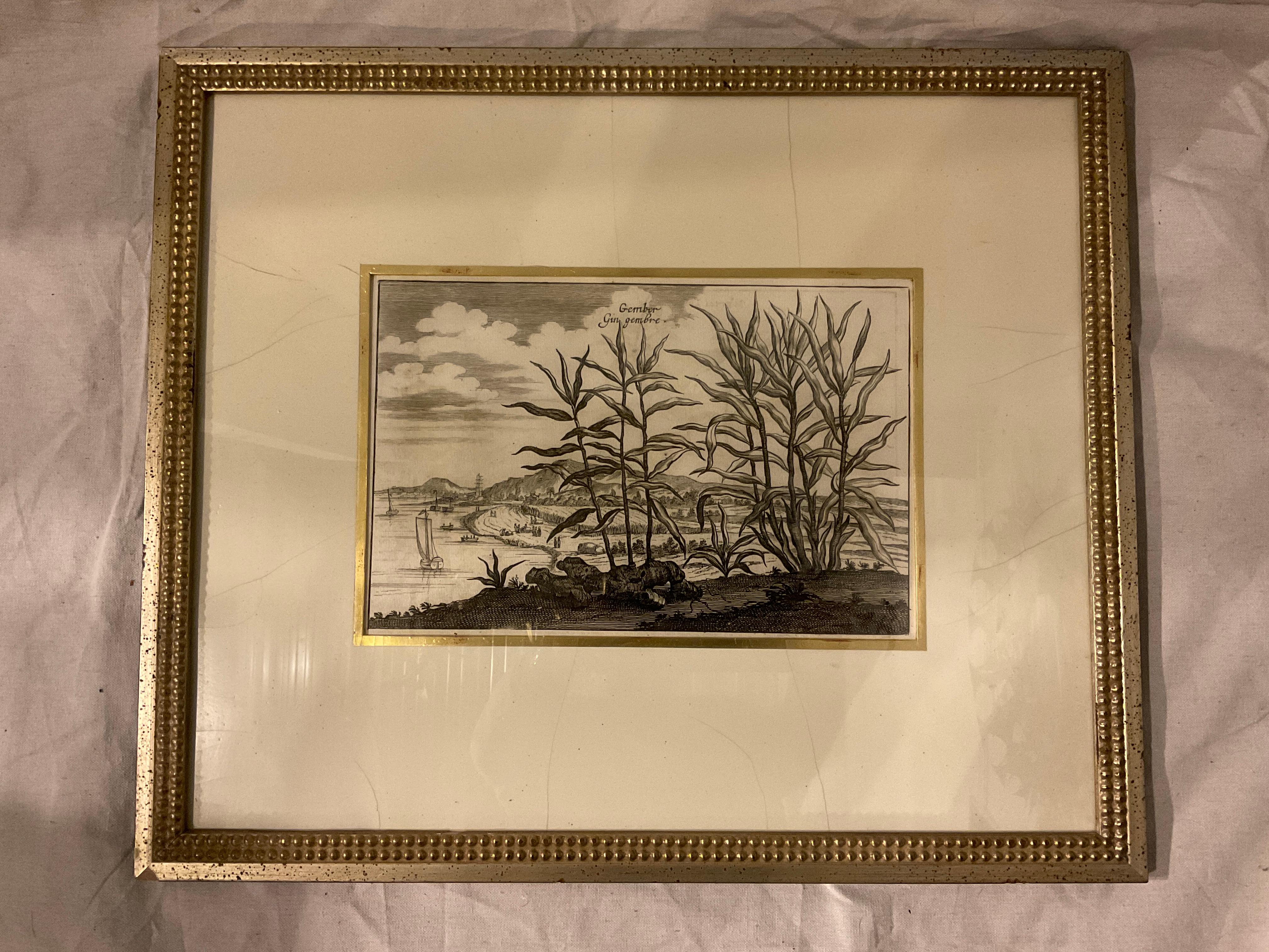 6 Soicher- Marin Tropical Landscape From Asia Prints In Silver Leaf Frames For Sale 2