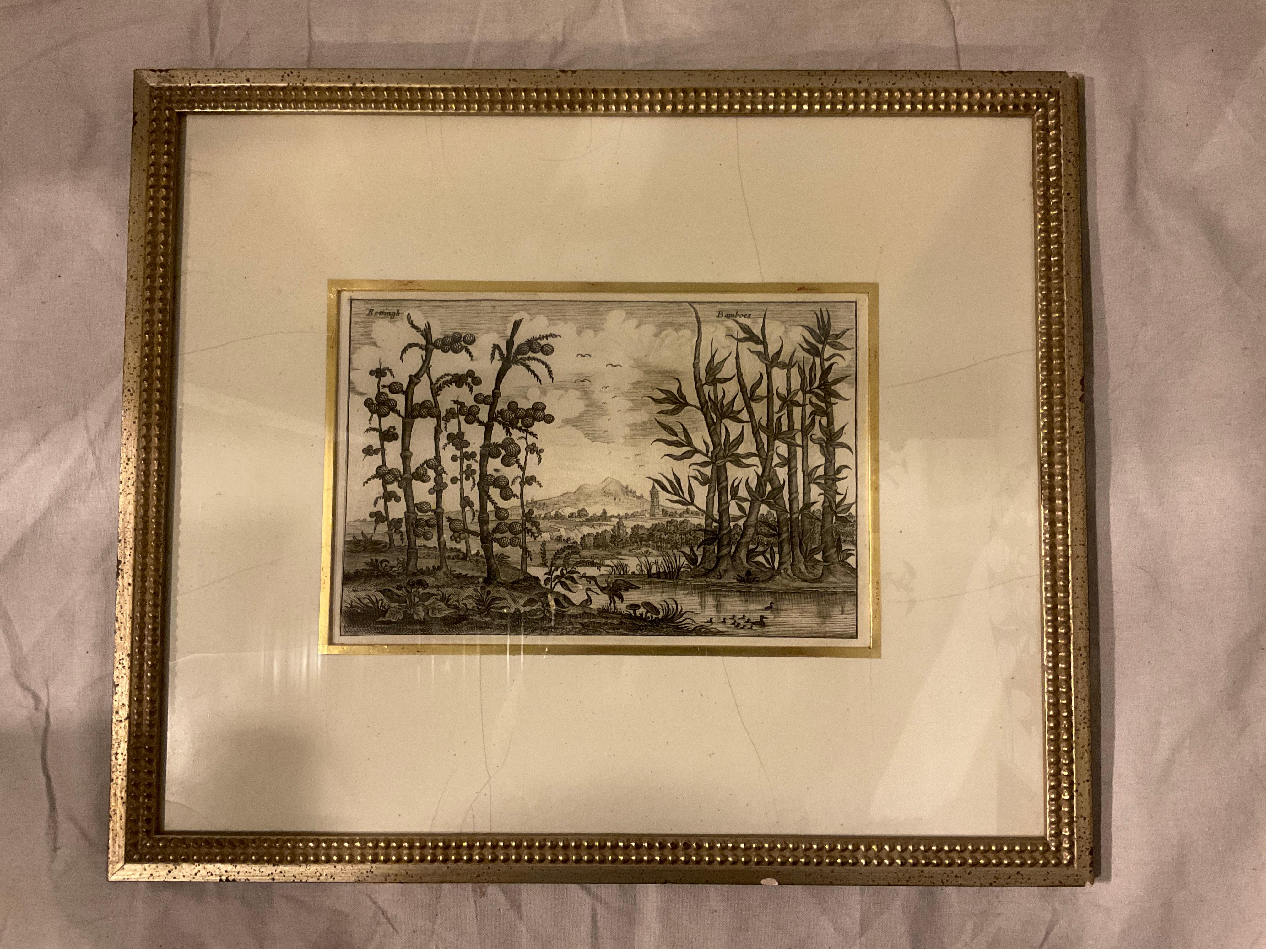 6 Soicher- Marin Tropical Landscape From Asia Prints In Silver Leaf Frames For Sale 3