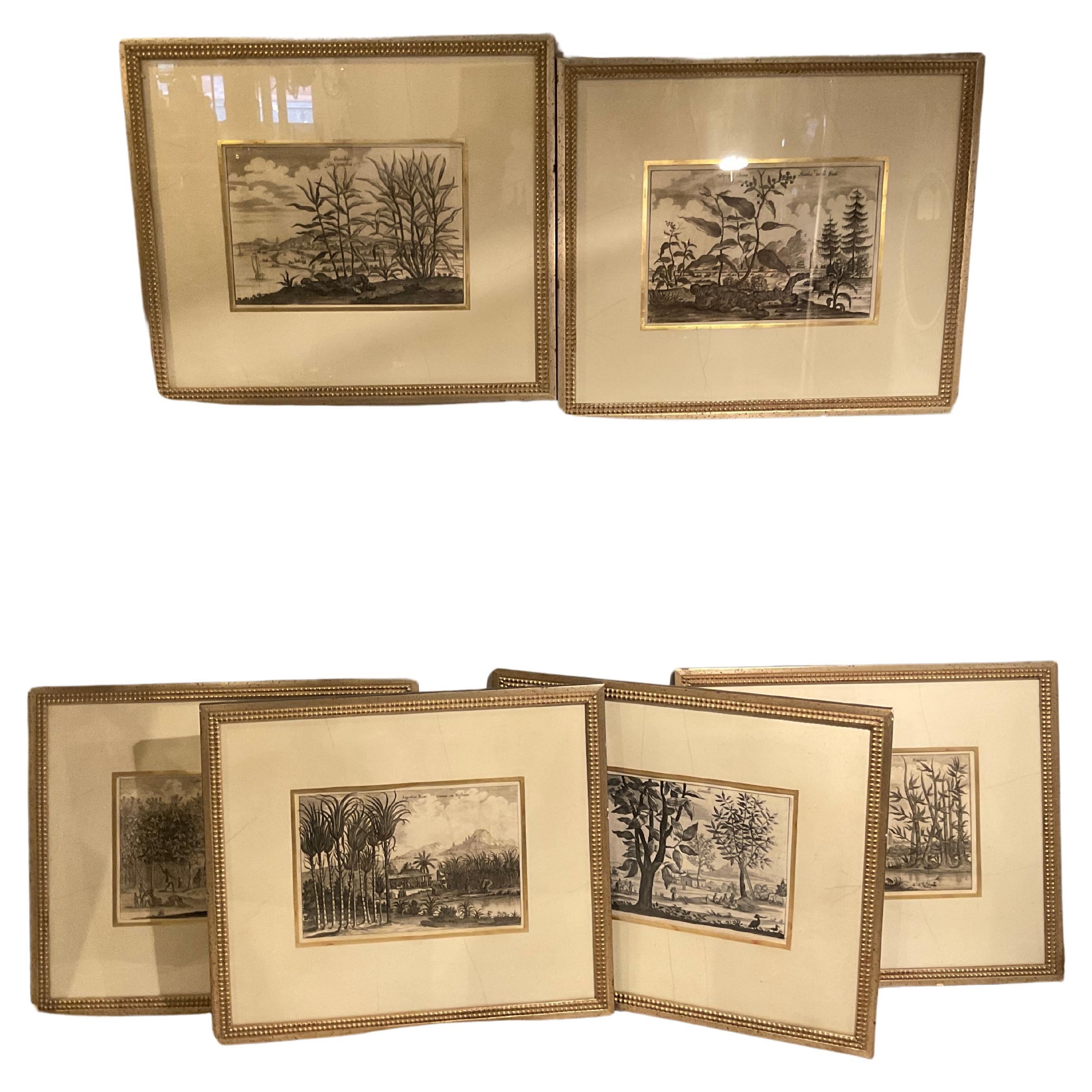 6 Soicher- Marin Tropical Landscape From Asia Prints In Silver Leaf Frames For Sale