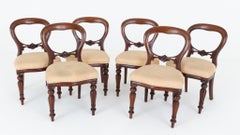 6 Victorian Balloon Back Dining Chairs Mahogany Revival
