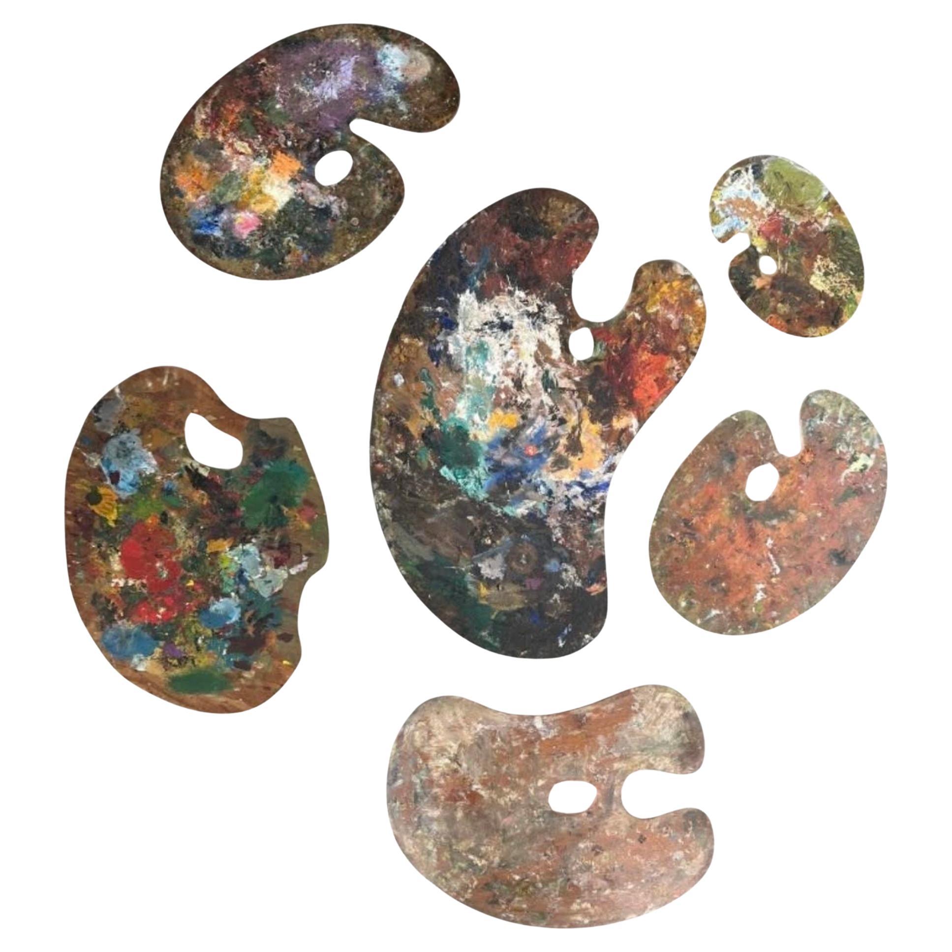 6 Palette per artisti a forma di organico vintage