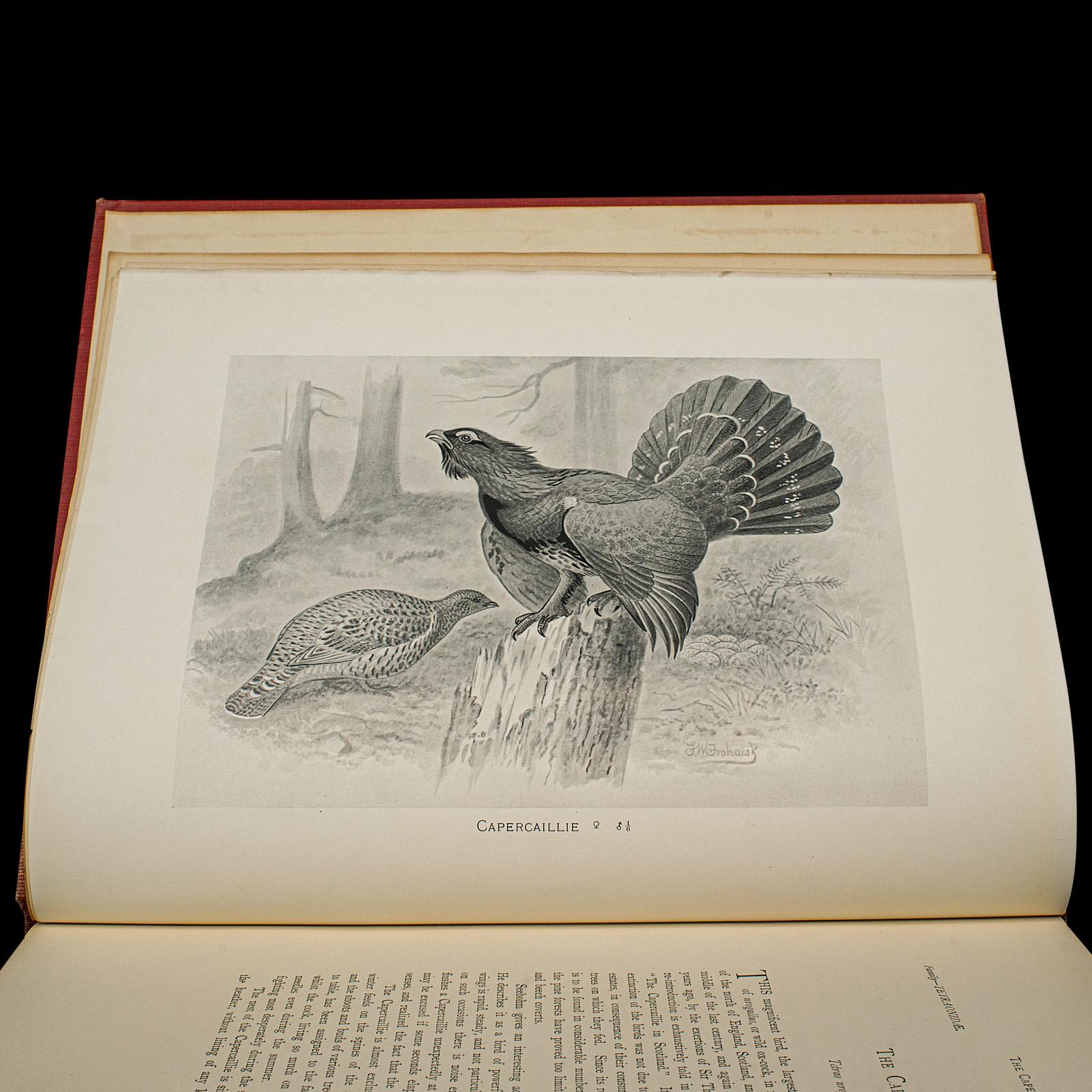6 Vols British Birds and Their Nests, Butler, Avian Reference Book, Victorian in vendita 3