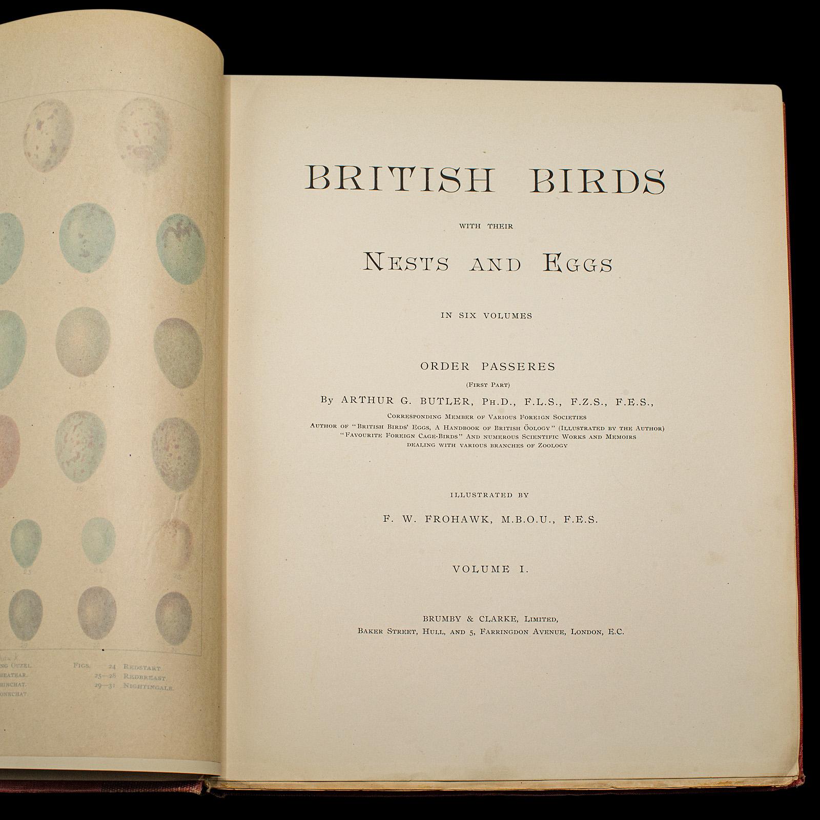 Tardo vittoriano 6 Vols British Birds and Their Nests, Butler, Avian Reference Book, Victorian in vendita