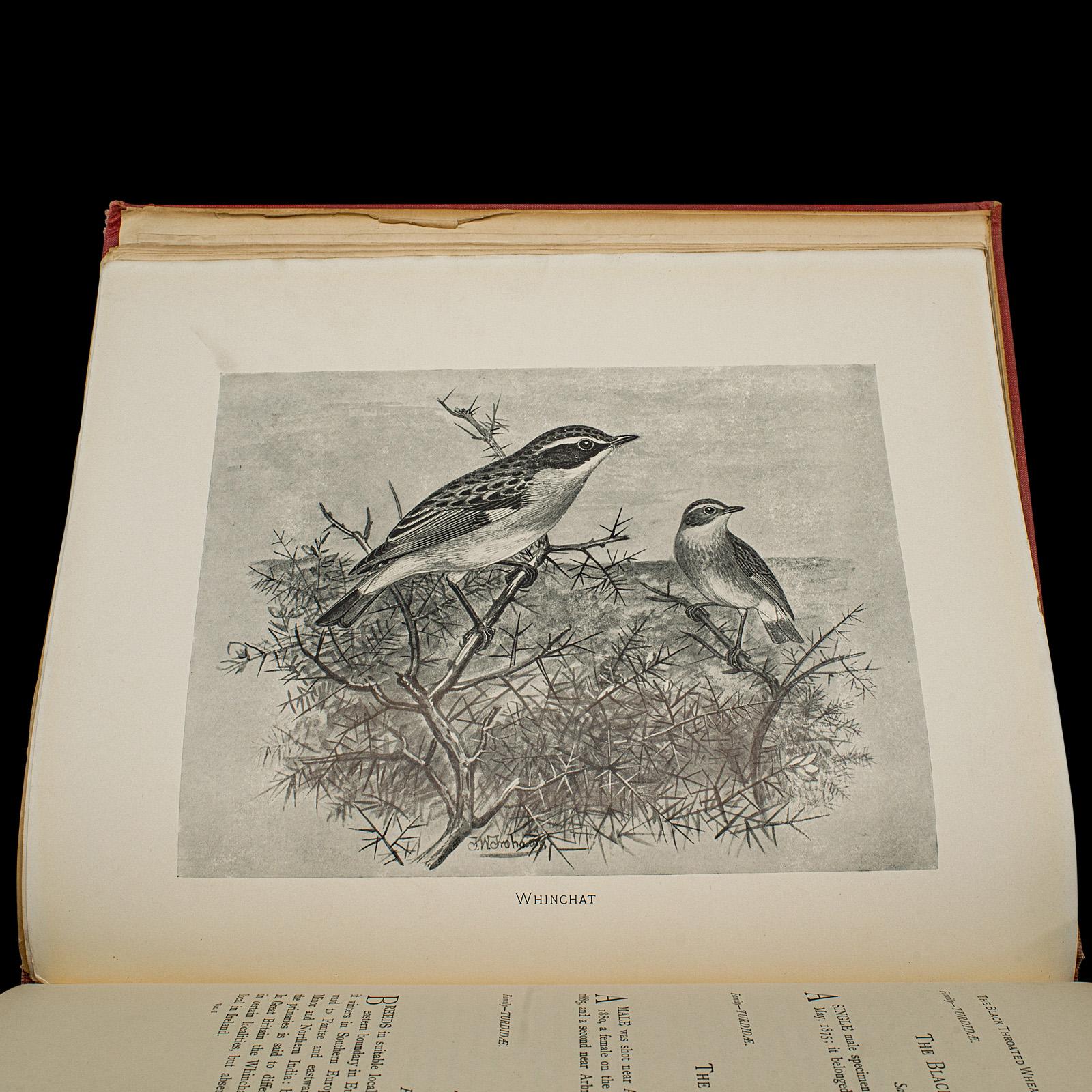 Britannico 6 Vols British Birds and Their Nests, Butler, Avian Reference Book, Victorian in vendita