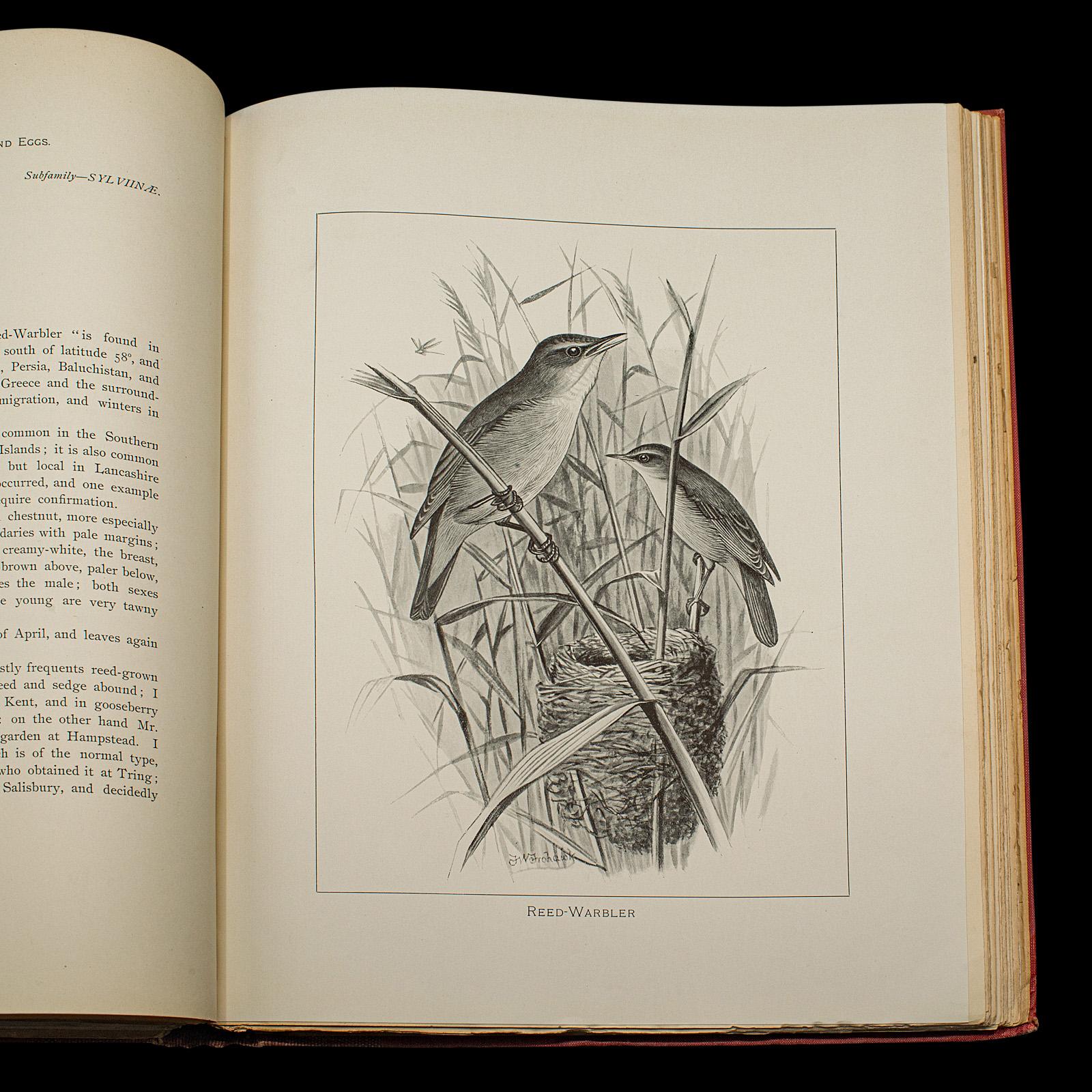 6 Vols British Birds and Their Nests, Butler, Avian Reference Book, Victorian In condizioni buone in vendita a Hele, Devon, GB