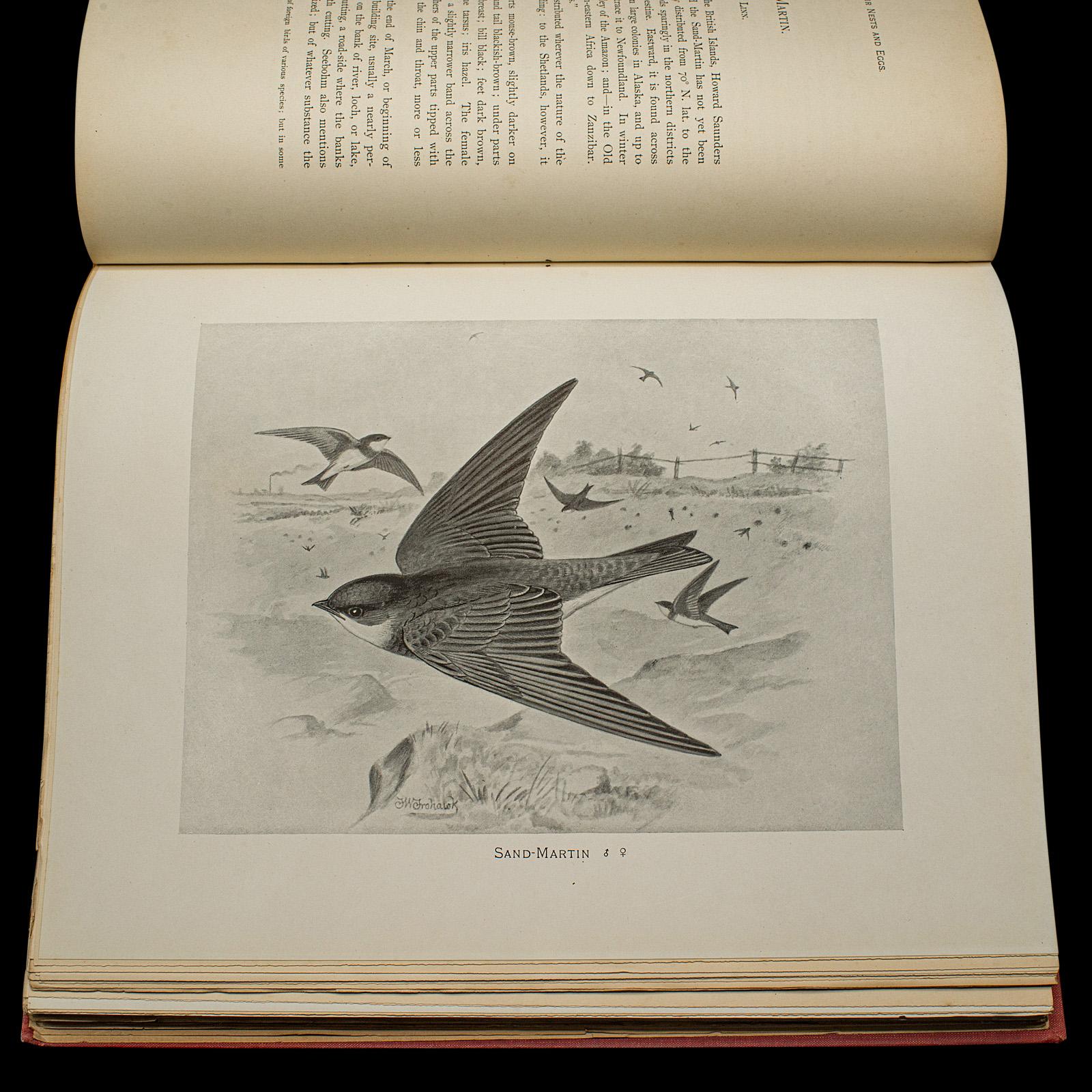 XX secolo 6 Vols British Birds and Their Nests, Butler, Avian Reference Book, Victorian in vendita
