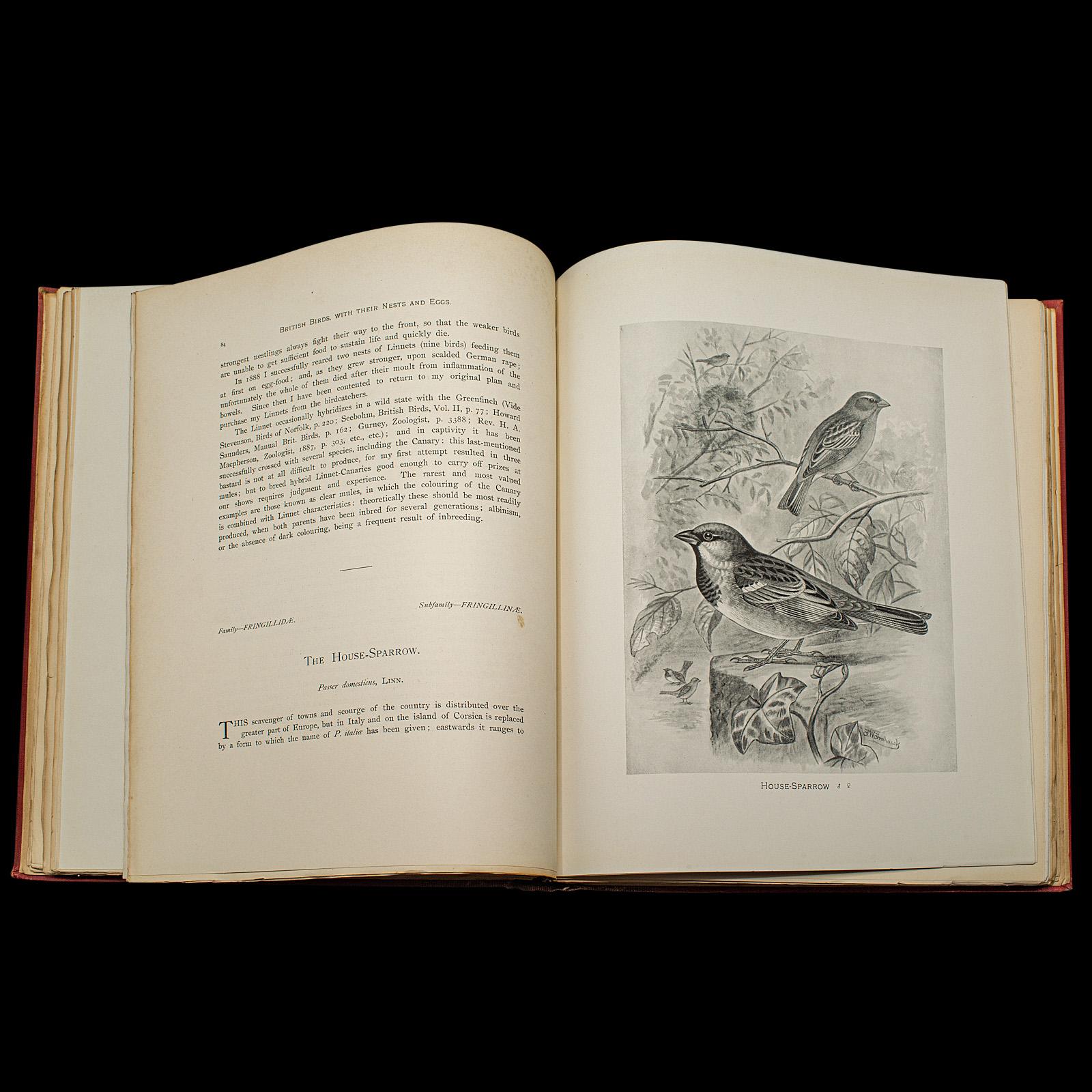 Carta 6 Vols British Birds and Their Nests, Butler, Avian Reference Book, Victorian in vendita
