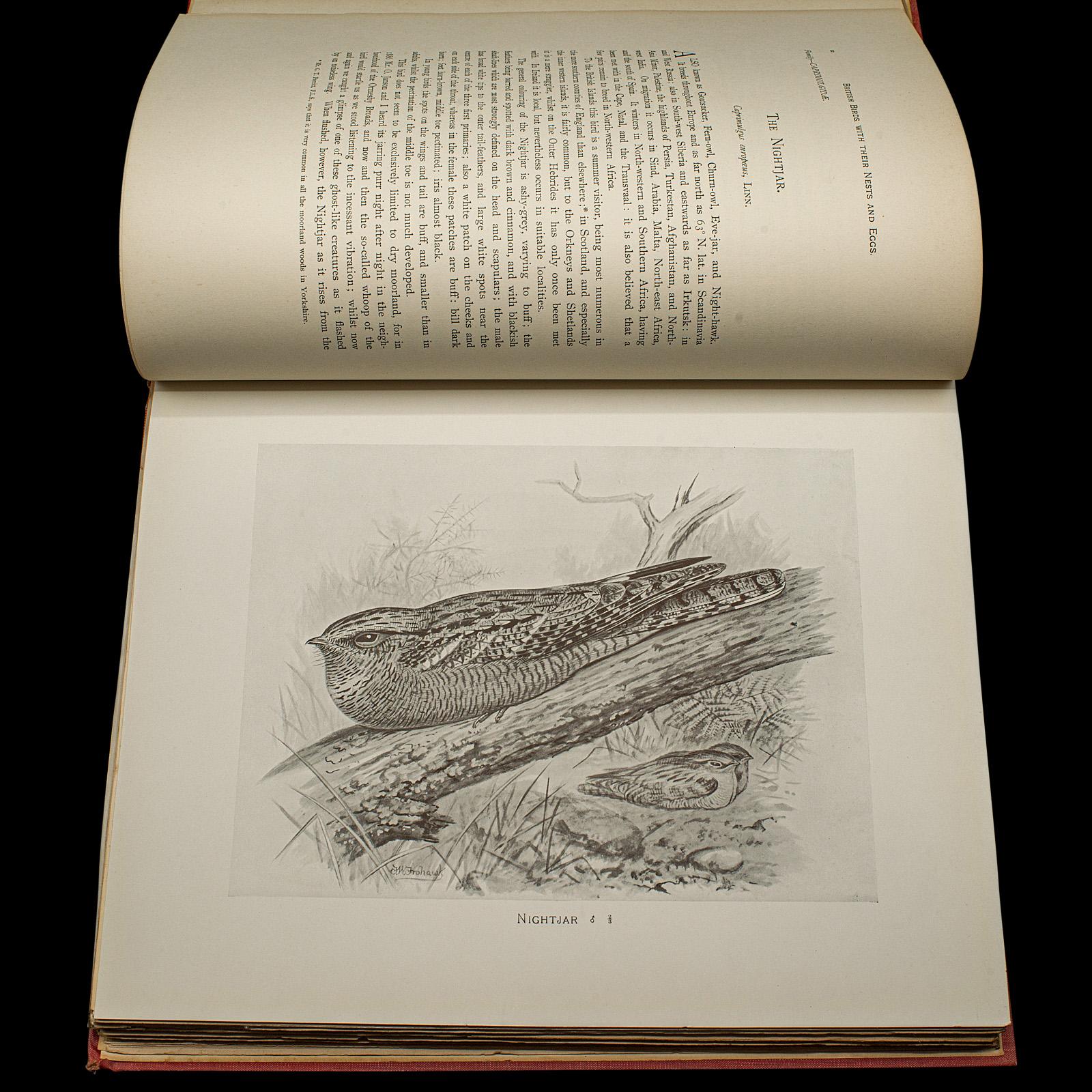 6 Vols British Birds and Their Nests, Butler, Avian Reference Book, Victorian in vendita 1