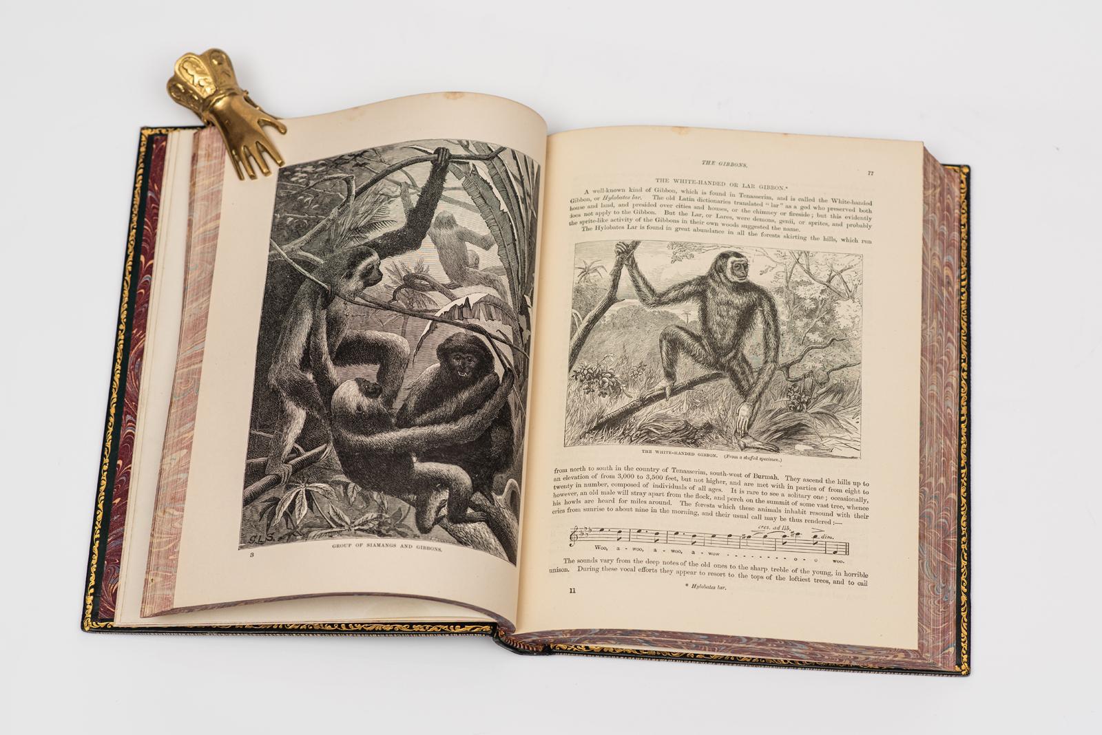 XIX secolo 6 volumi. A cura di Martin Duncan, Cassell's Natural History. in vendita