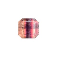 6.0 Carats Natural Multicolour Tourmaline Color-Zoned Gemstone for Jewellery