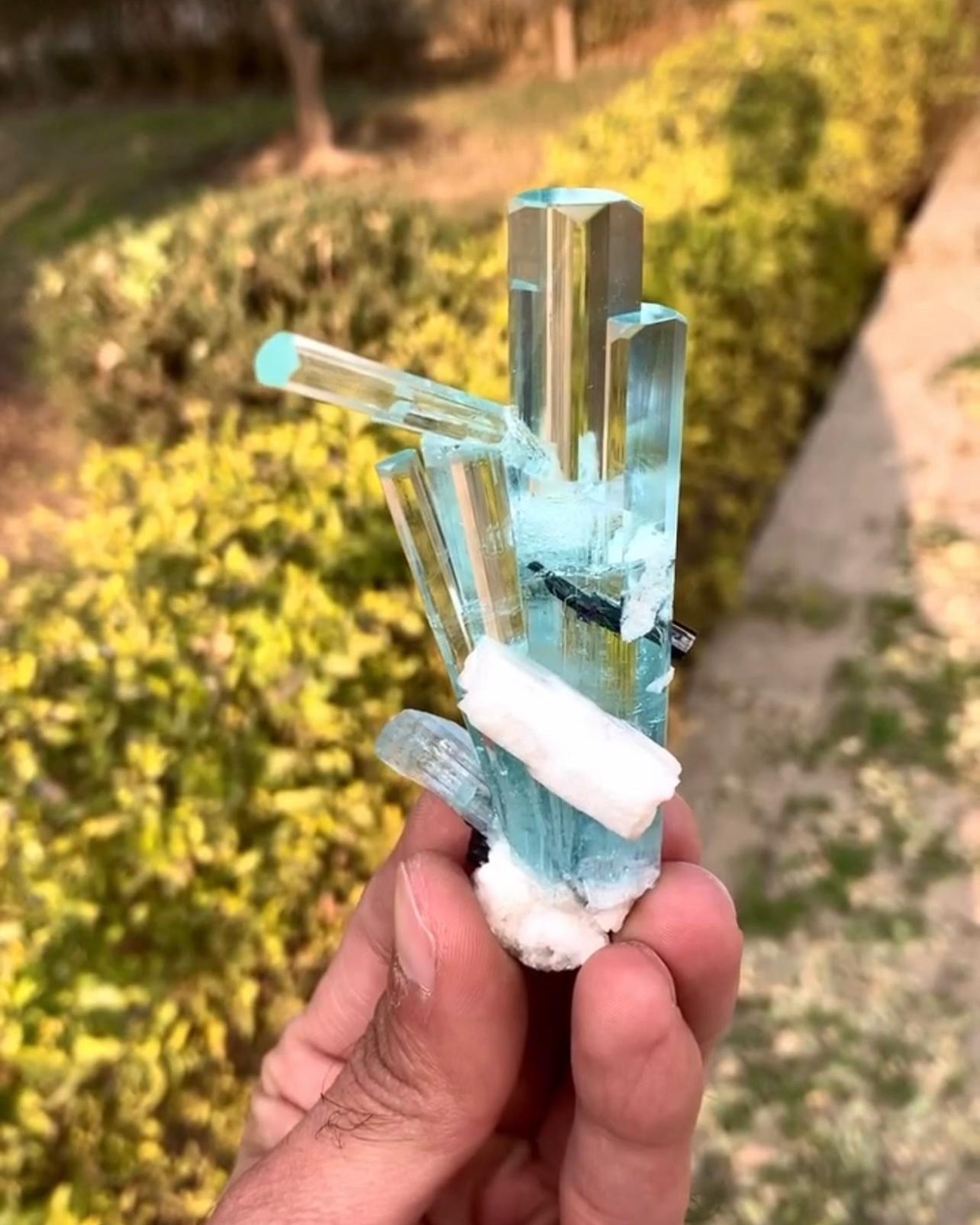 Informazioni sul prodotto:

Nome del campione: Acquamarina con Albite e Schorl

Peso: 60 grammi

Dimensioni: H: 9,8 x L: 3,8 x P: 6 cm

Trattamento: Nessuno

Origine: Distretto di Skardu, provincia di Gilgit Baltistan, Pakistan 