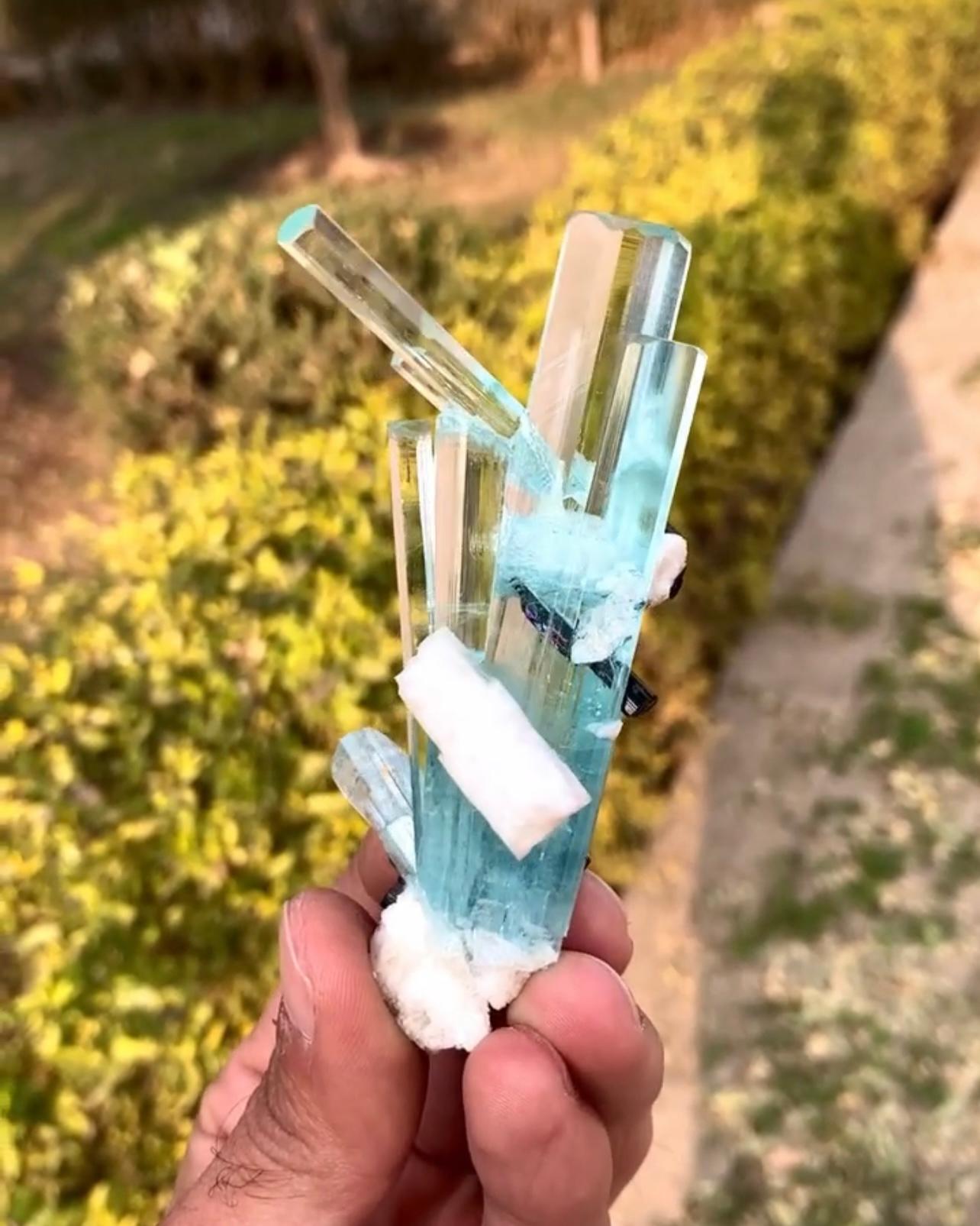Stile Adam Cluster di 60 grammi di cristalli di acquamarina con scorza e albite dal Pakistan in vendita