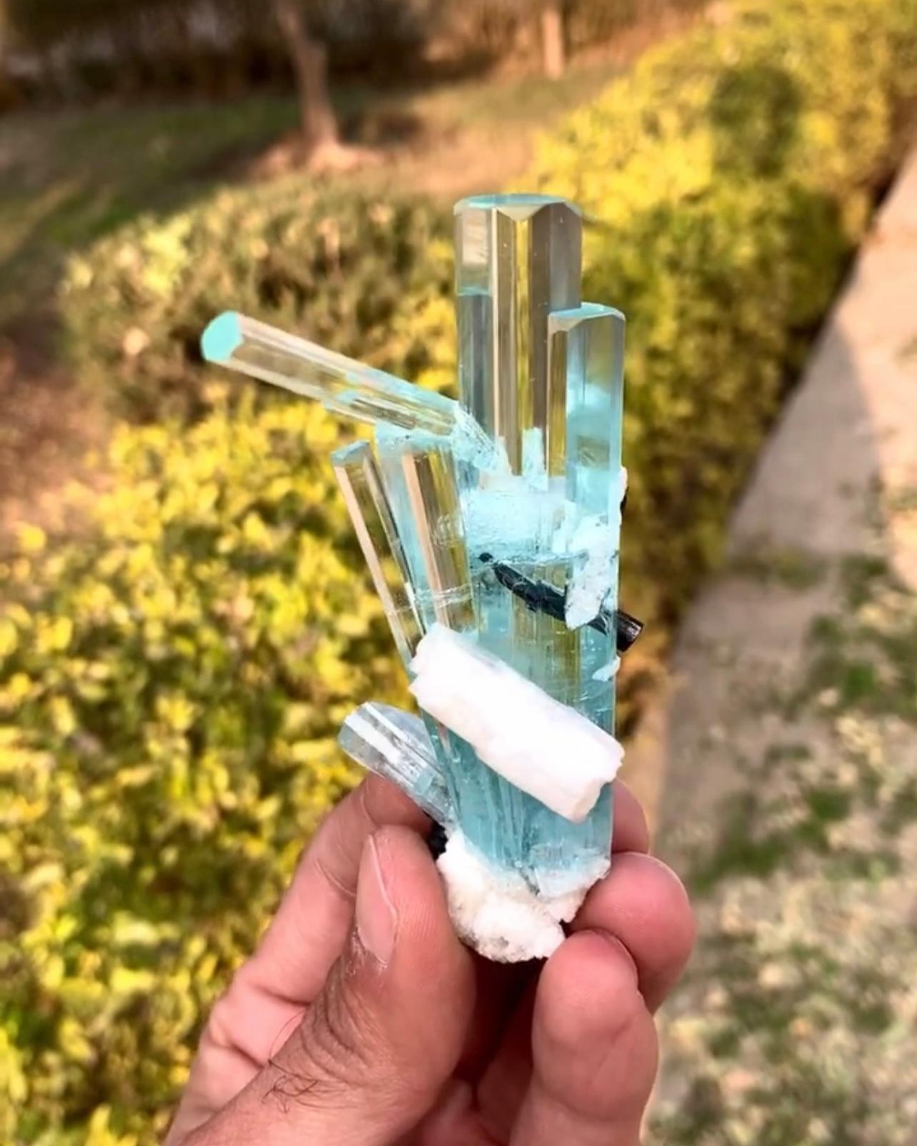 XXI secolo e contemporaneo Cluster di 60 grammi di cristalli di acquamarina con scorza e albite dal Pakistan in vendita