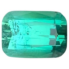6.00 Carat Natural Loose Blue Green Tourmaline Cushion Shape Gemstone (Tourmaline bleue verte en forme de coussin)