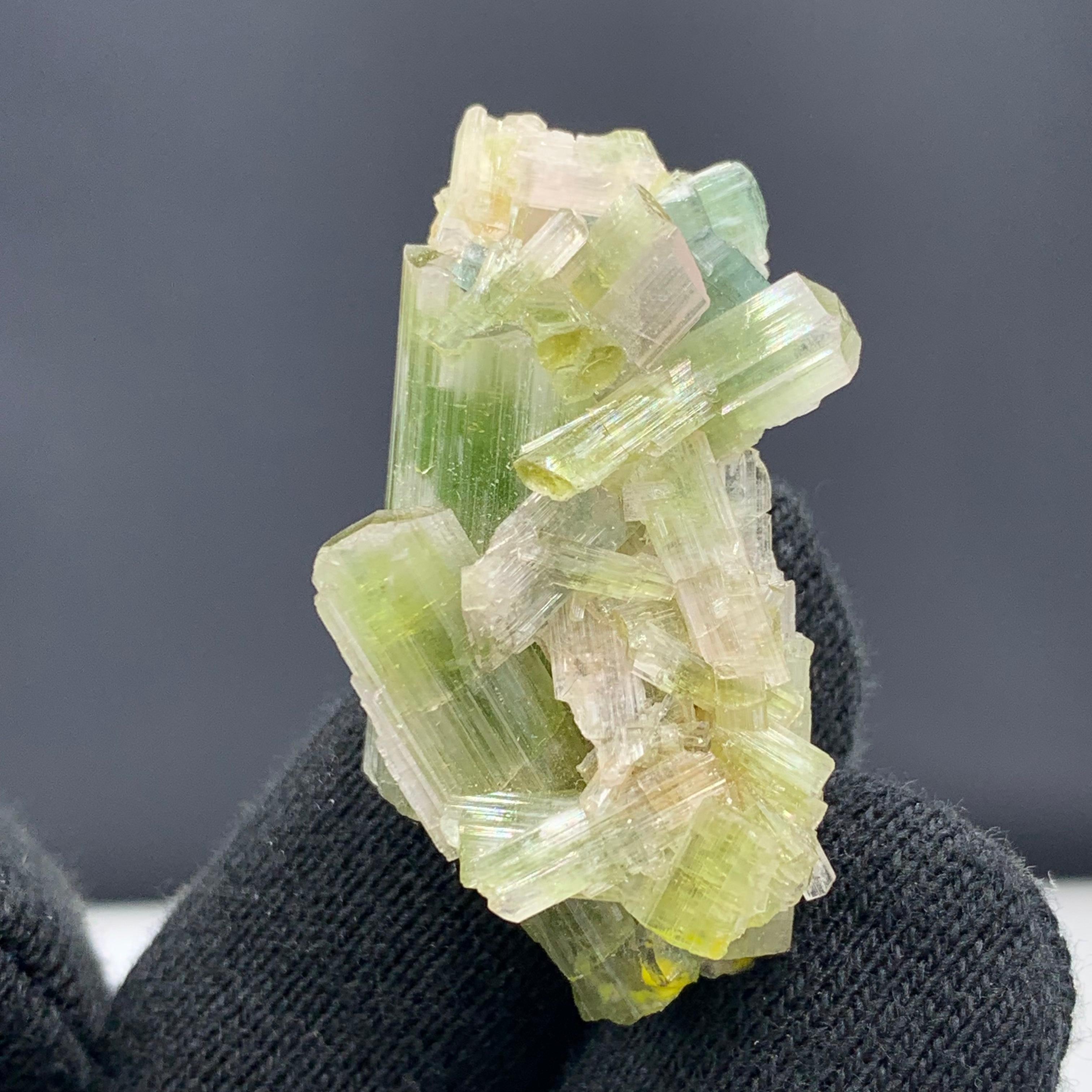 60.05 Carat Glamorous Tourmaline Crystals Cluster From Afghanistan  For Sale 5