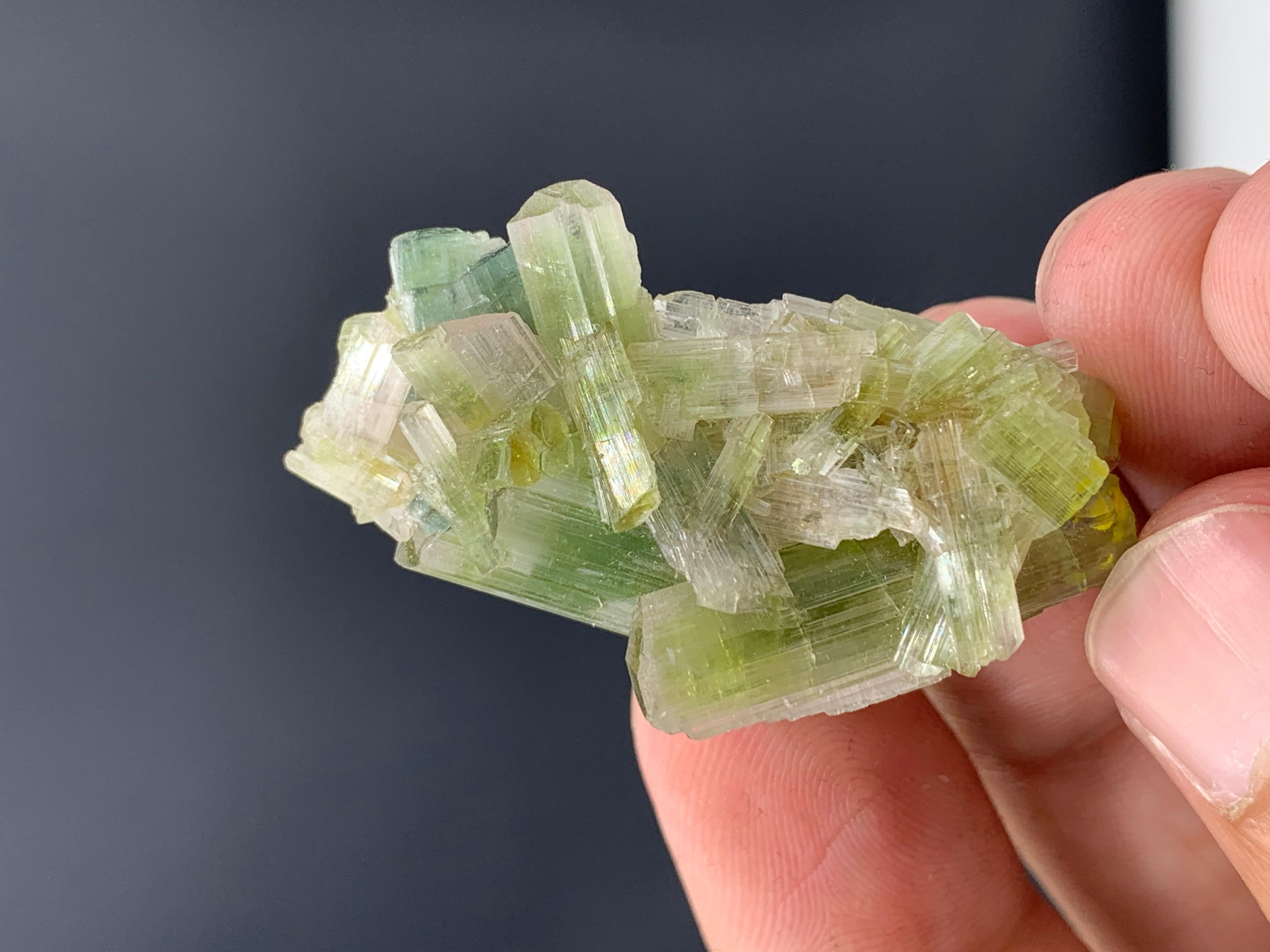 60.05 Carat Glamorous Tourmaline Crystals Cluster From Afghanistan  For Sale 9